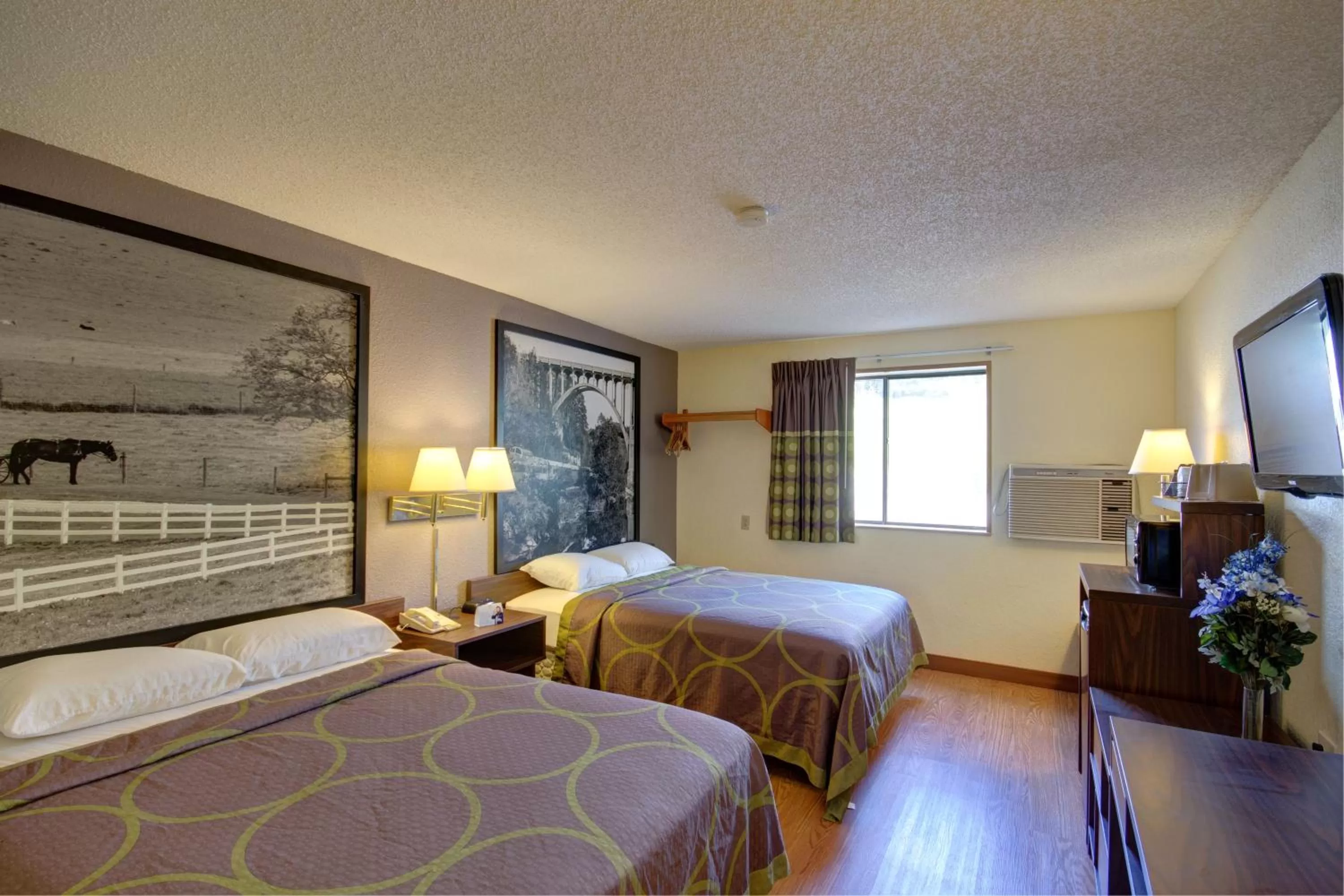 Day, Bed in Super 8 by Wyndham Zanesville