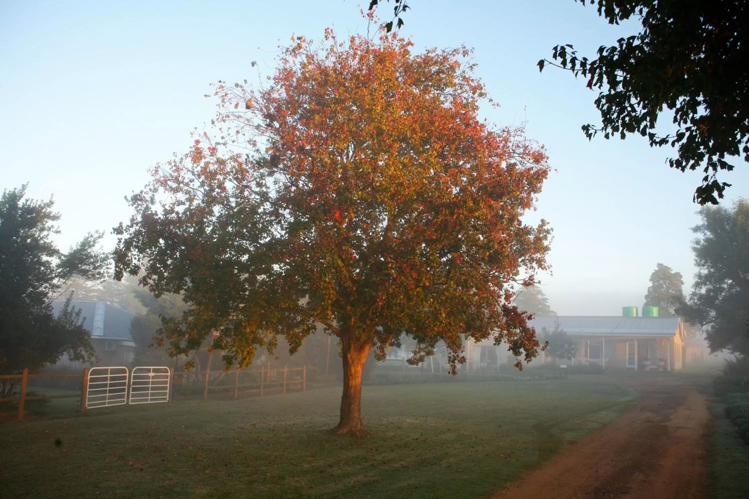 Area and facilities in Sneezewood Farm Bed&Breakfast and Self-Catering Cottage
