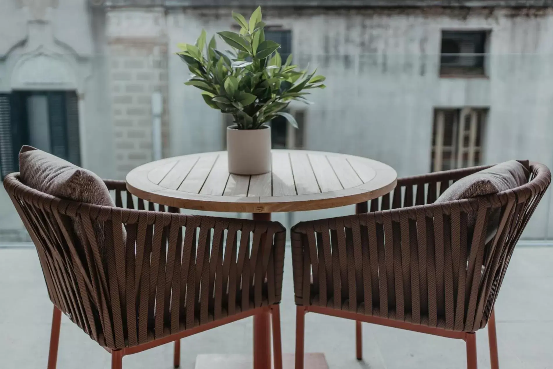 Patio in Hotel Boutique Petit Luxe