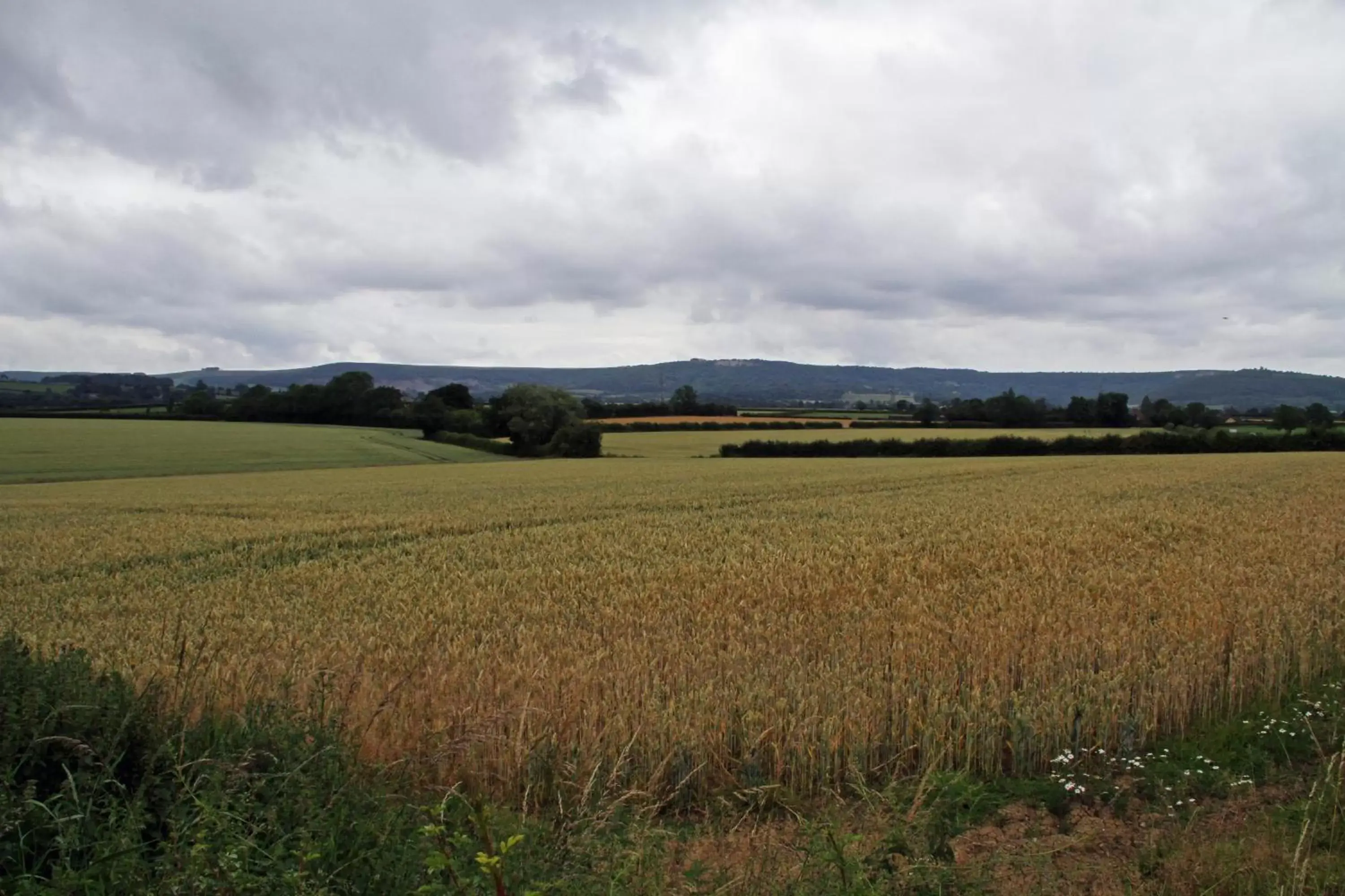 Area and facilities, Golf in OYO White Horse Lodge Hotel, East Thirsk