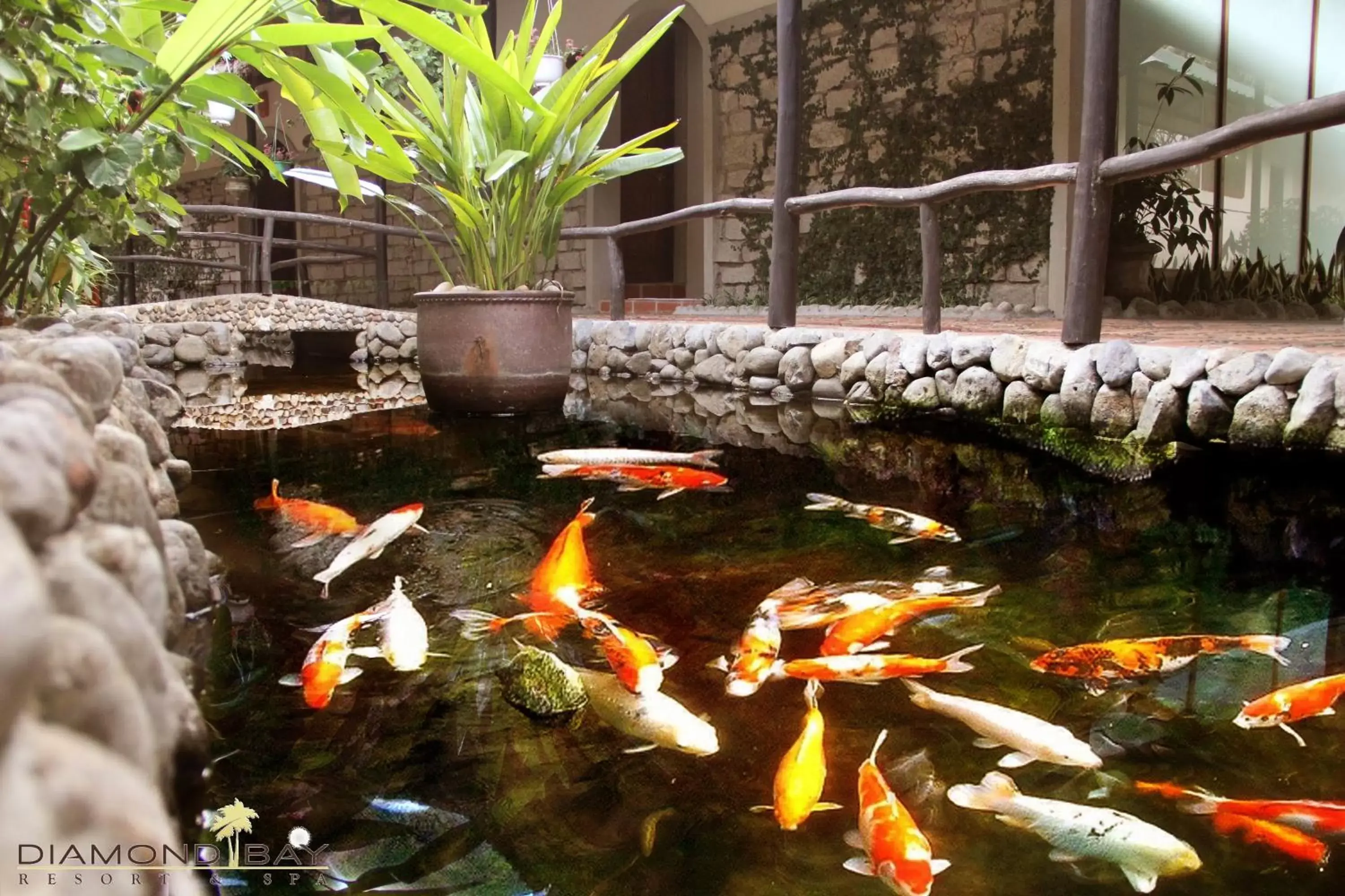 Restaurant/places to eat in Diamond Bay Resort & Spa Restaurant/places to eat in Diamond Bay Resort & Spa