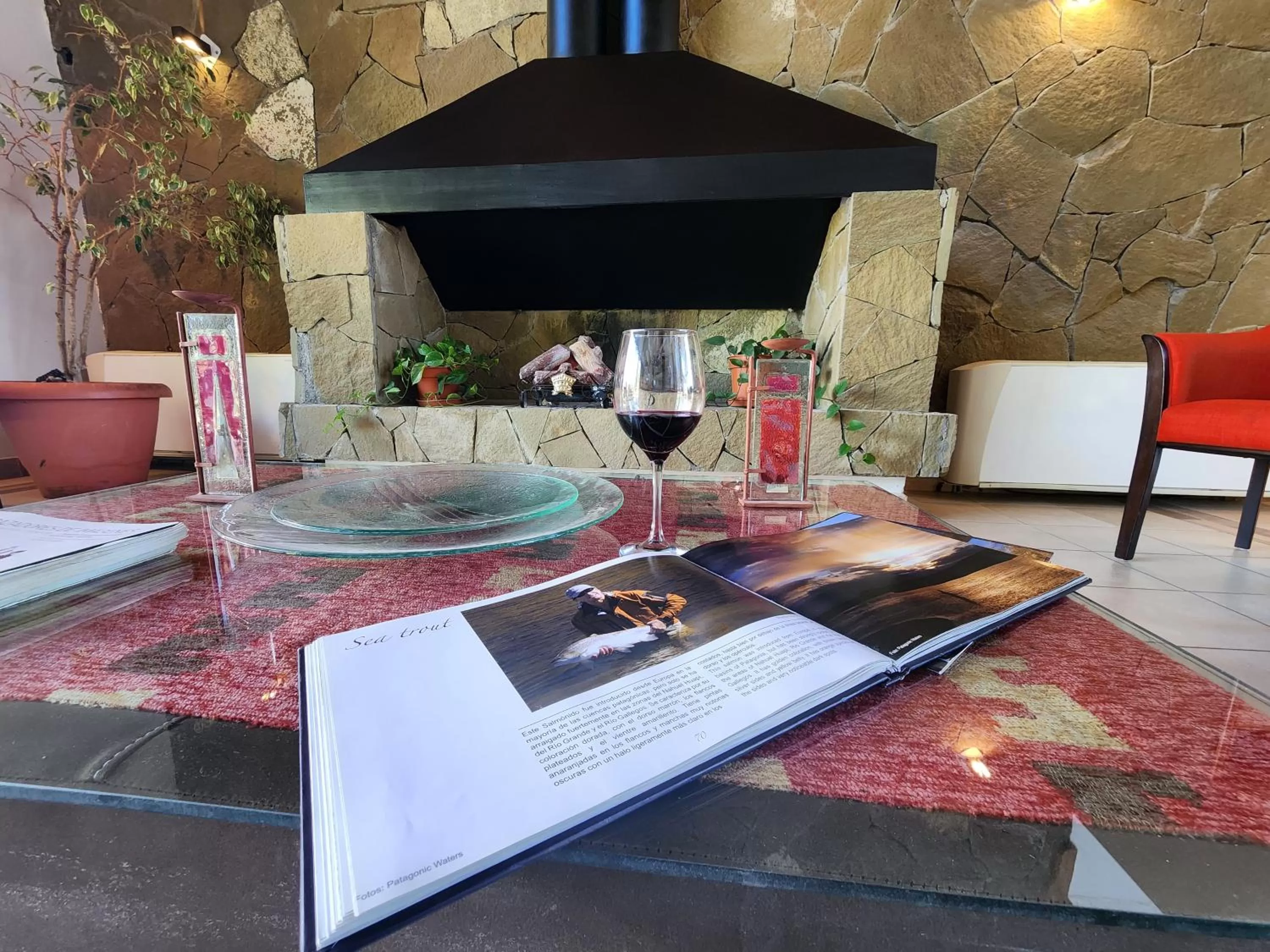 Living room in Tierra Tehuelche Hostería y Aparts