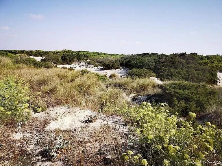 Hotel Villa Chiquita - Adults Only - Over 12