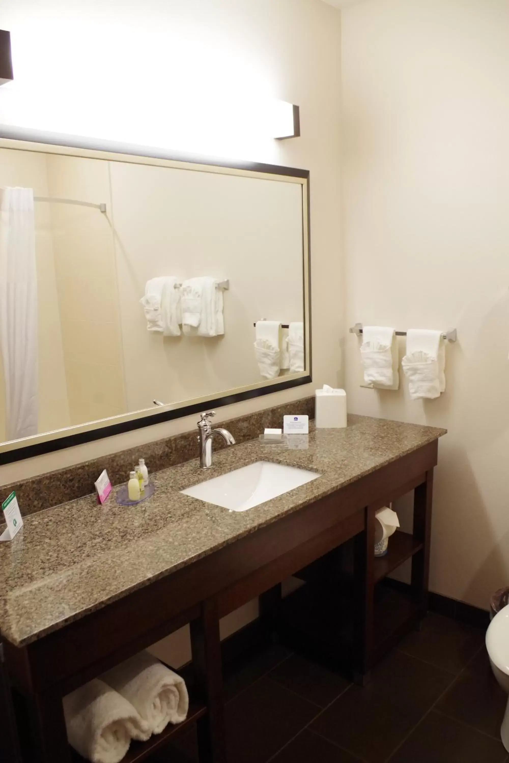 Bathroom in Best Western Plus Lincoln Inn & Suites