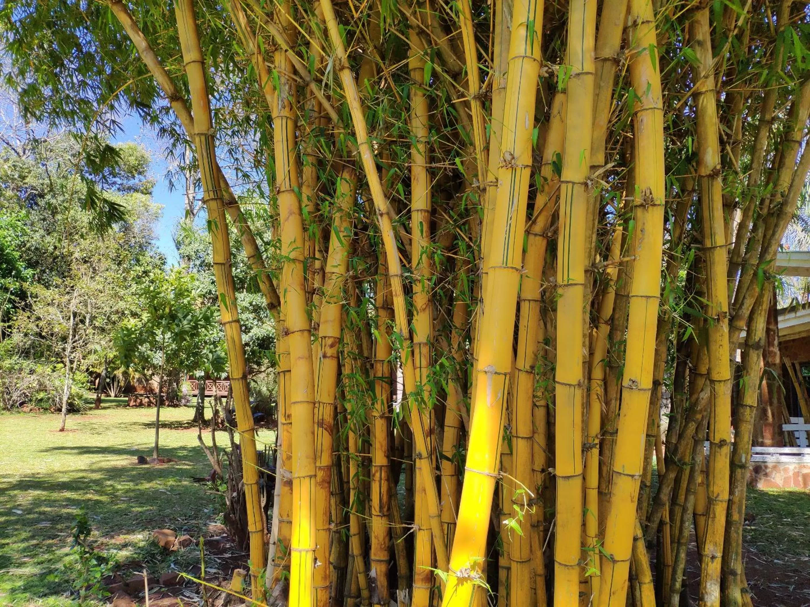 Patio in Posada 21 Oranges
