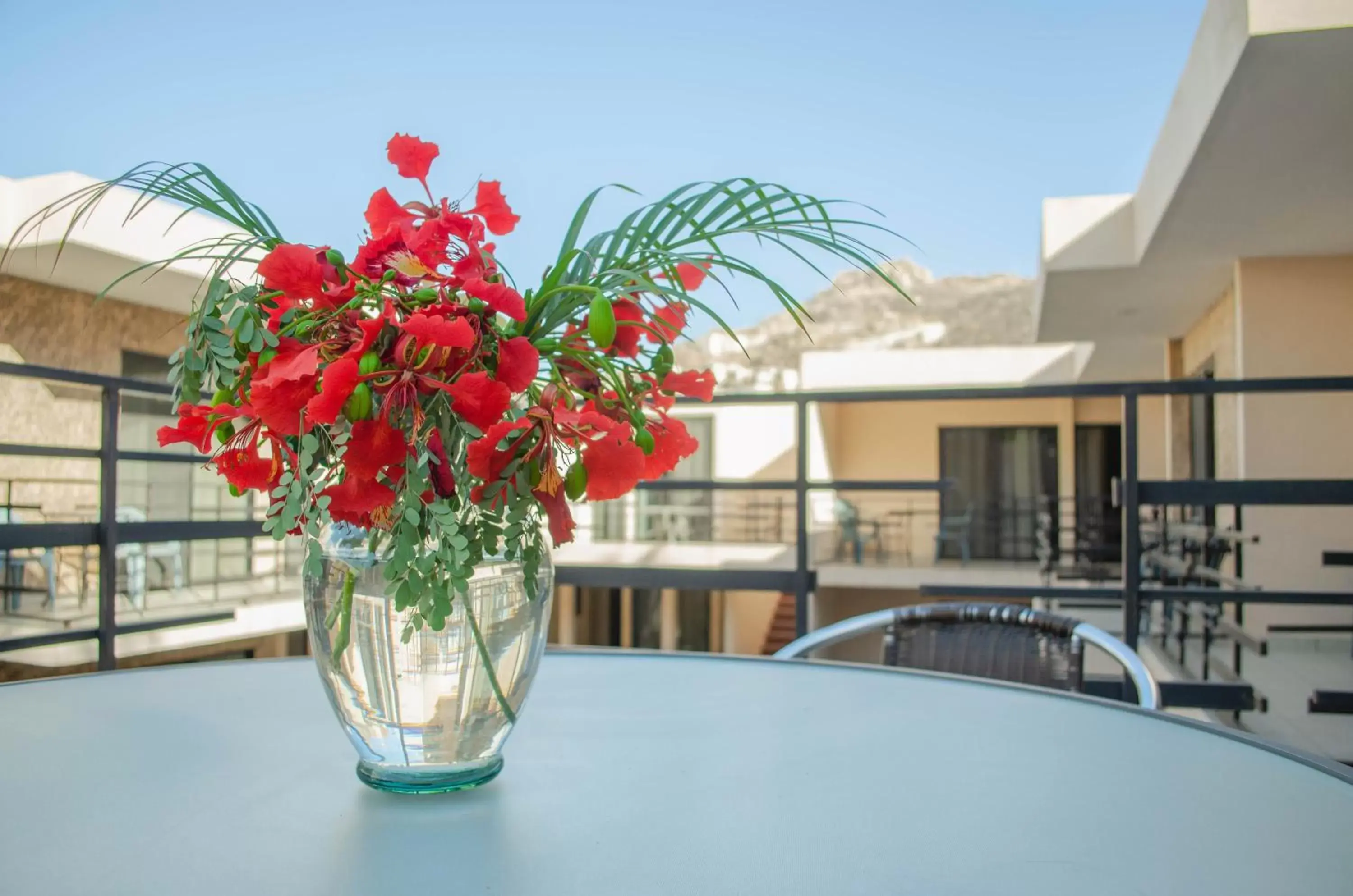 Balcony/Terrace in Pedregal Suites - Marina and Downtown