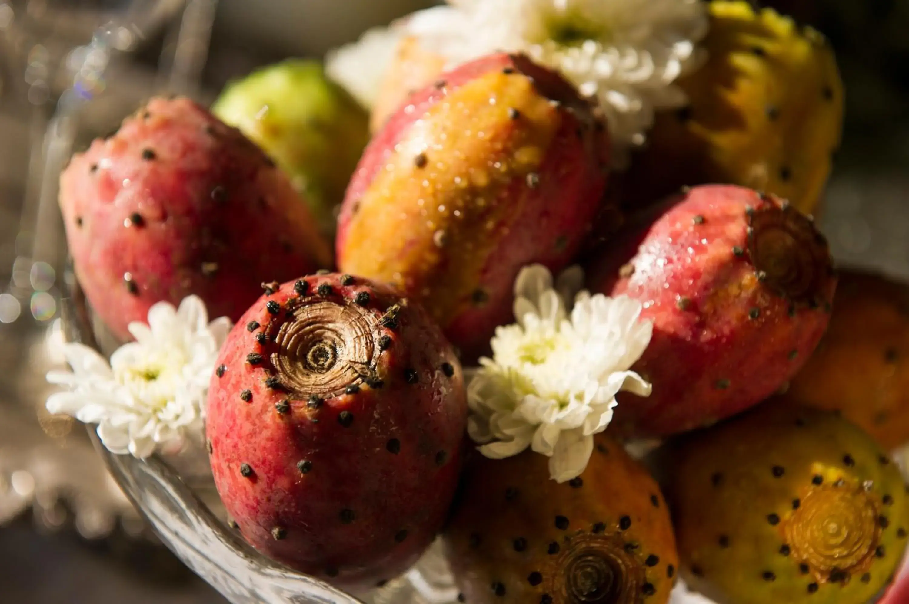 Buffet breakfast in Hotel Villa Ducale Buffet breakfast in Hotel Villa Ducale