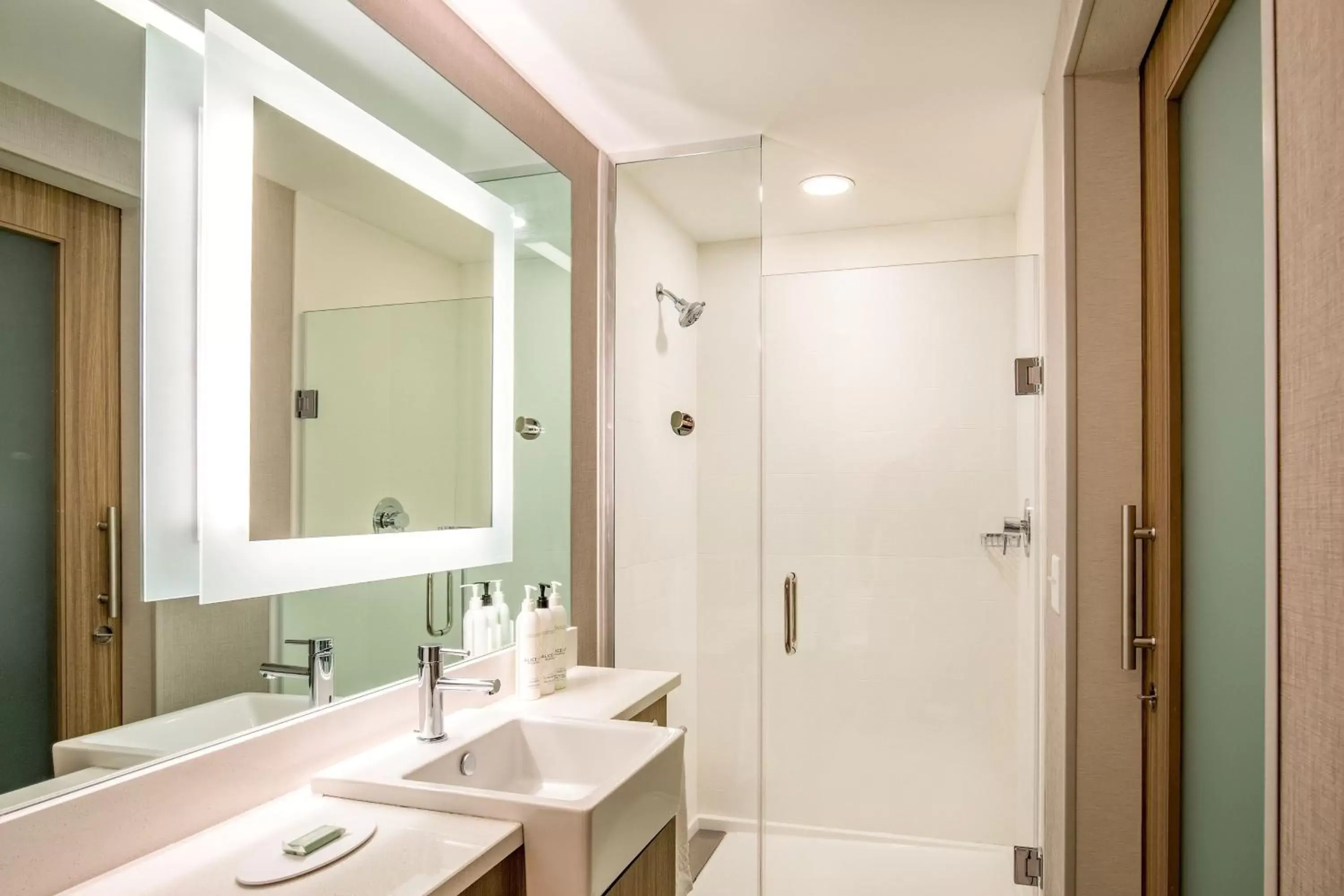 Bathroom in SpringHill Suites by Marriott Boston Logan Airport Revere Beach