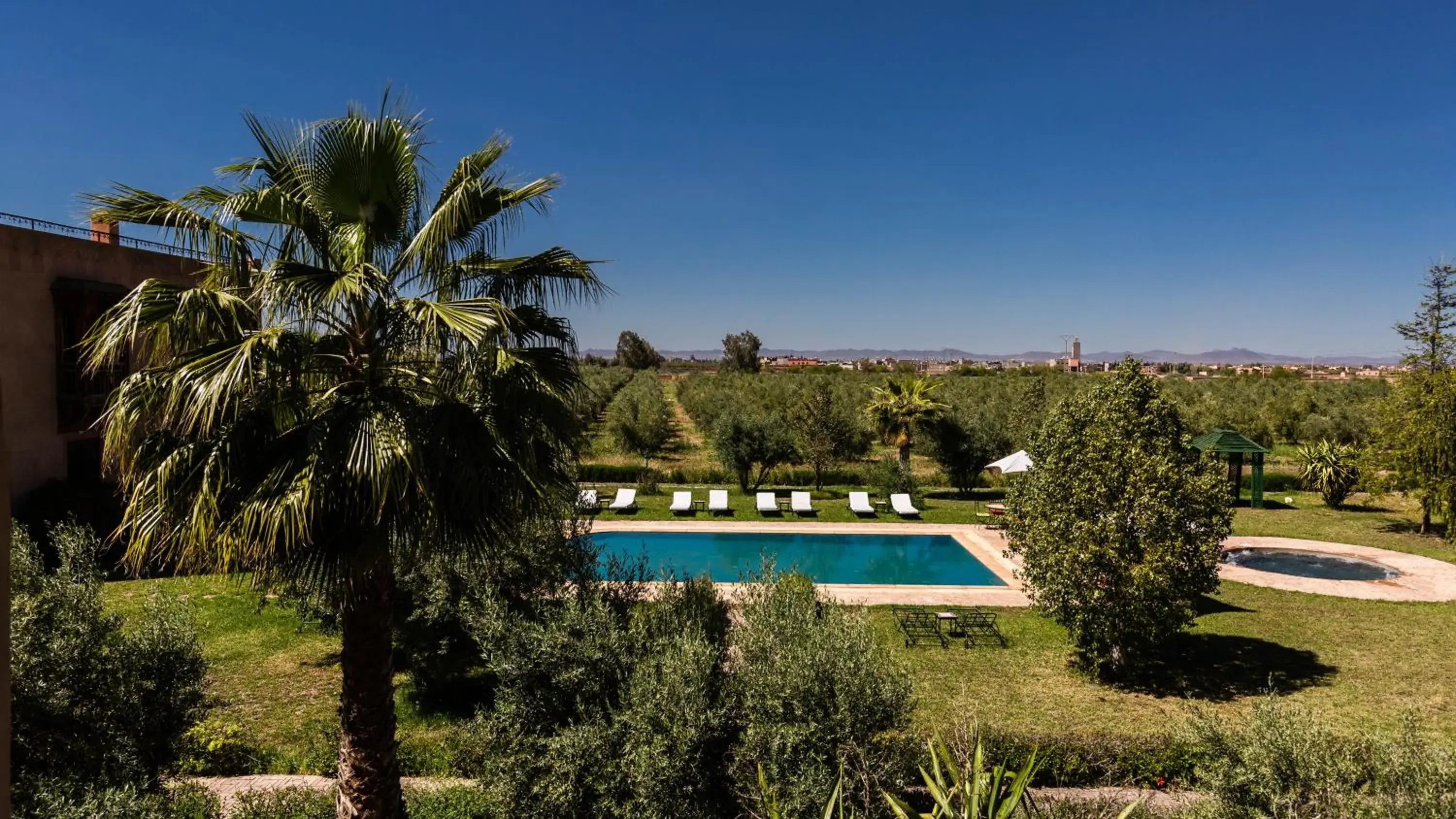 Garden view, Pool View in L'OLIVERAIE DE L'ATLAS