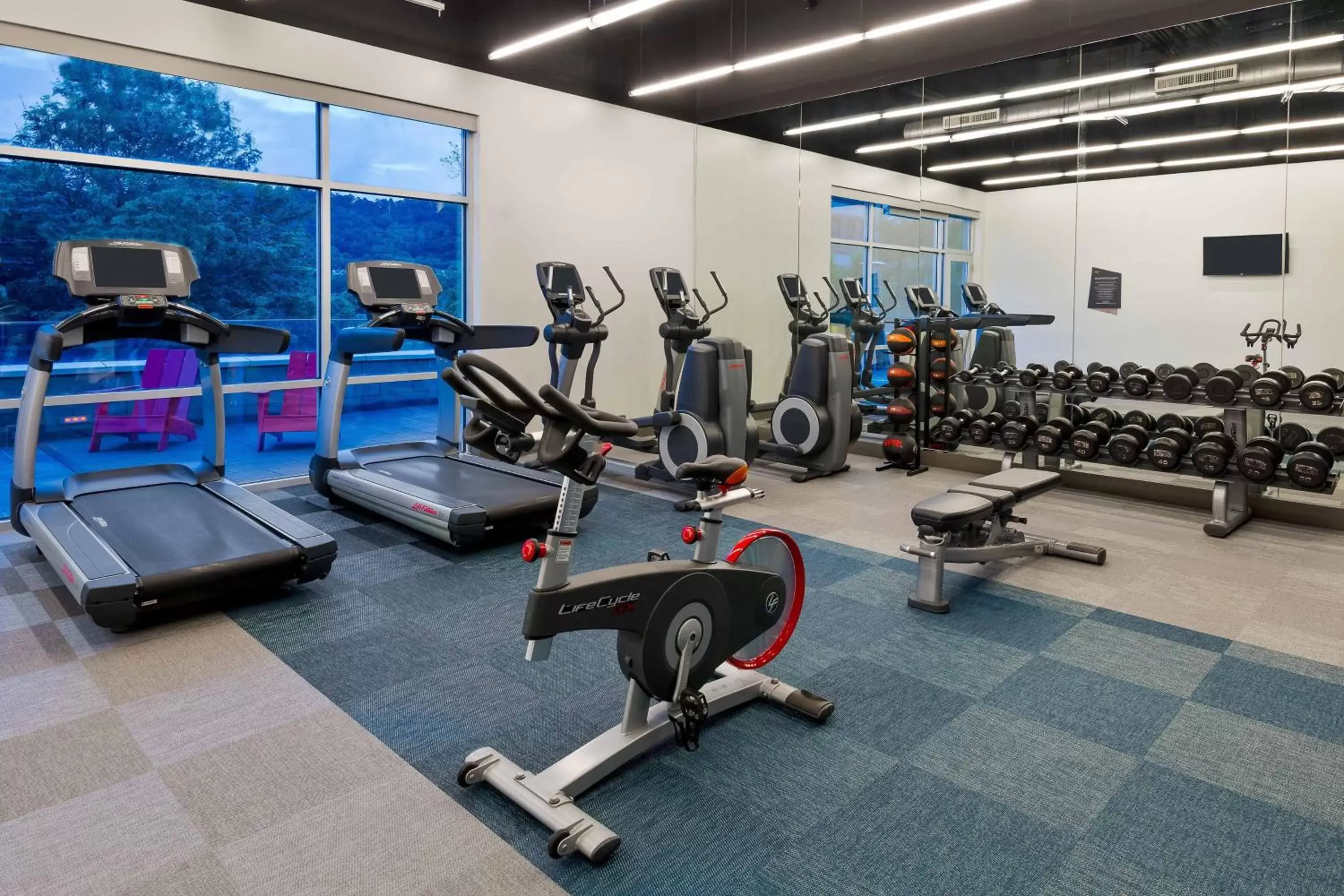 Fitness centre/facilities, Fitness Center/Facilities in Aloft Asheville Downtown