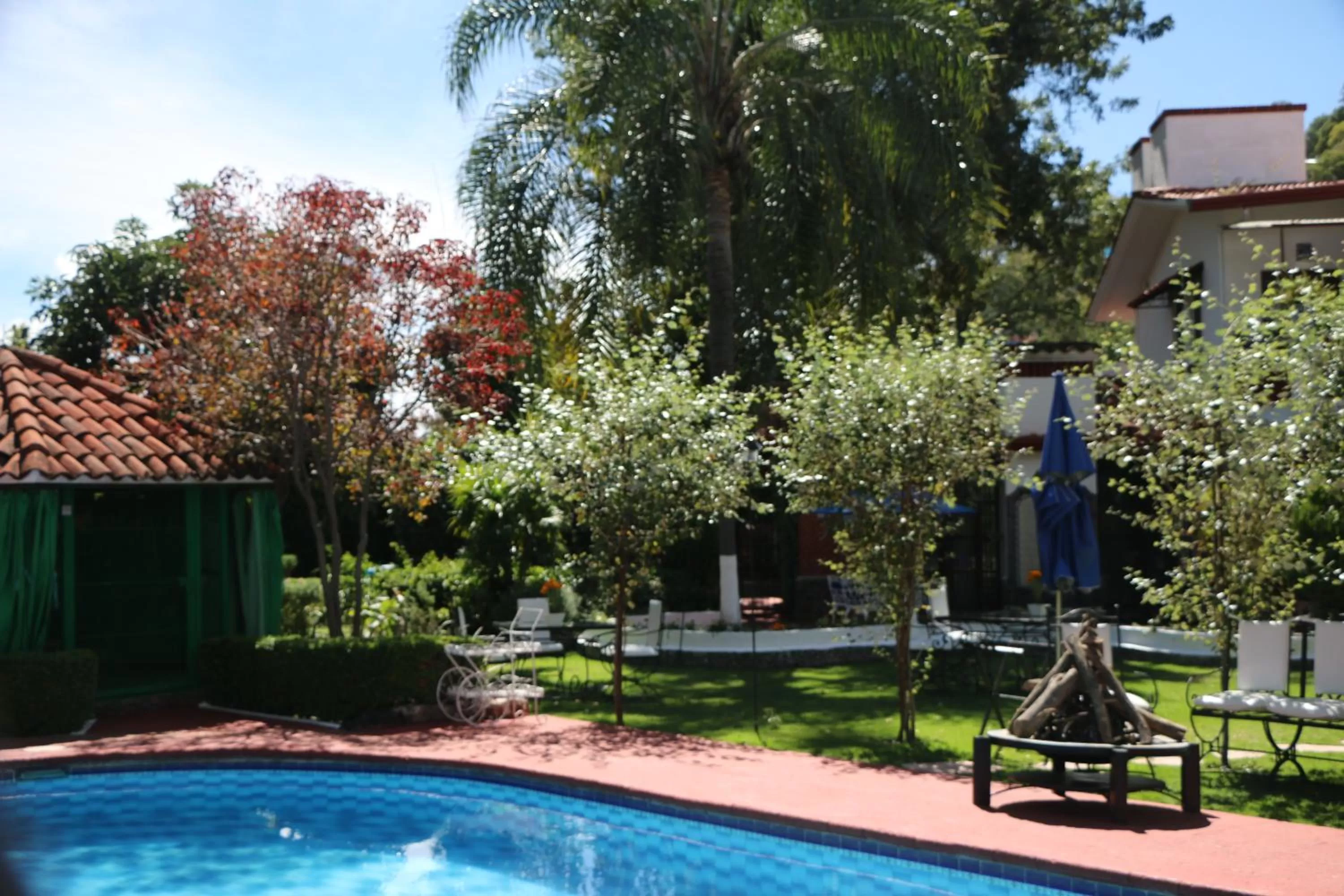 Swimming pool in Posada Los Alcatraces