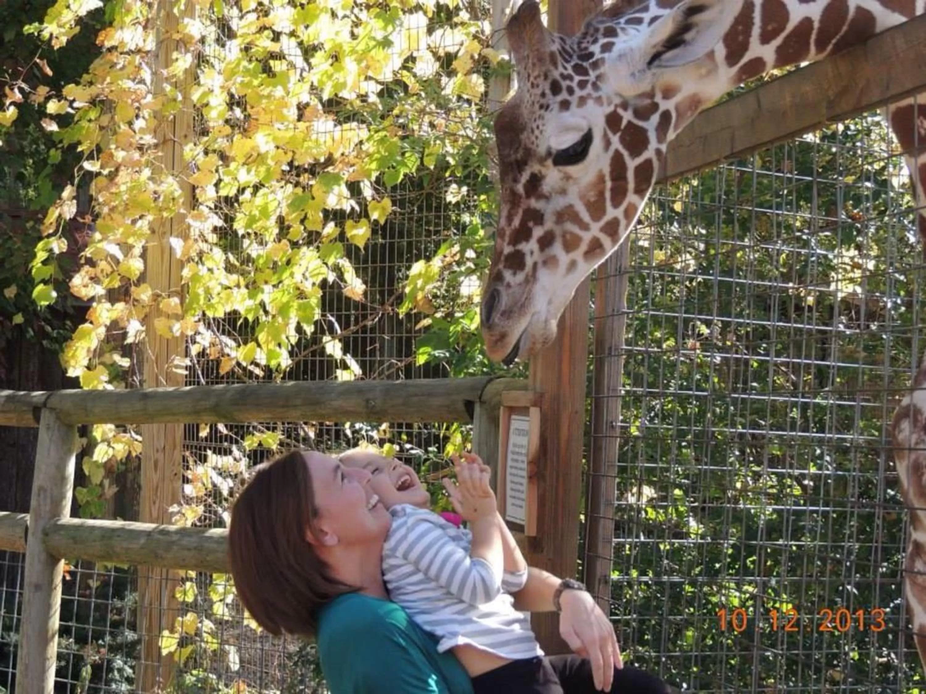 Nearby landmark in Candlewood Suites Grove City - Outlet Center by IHG