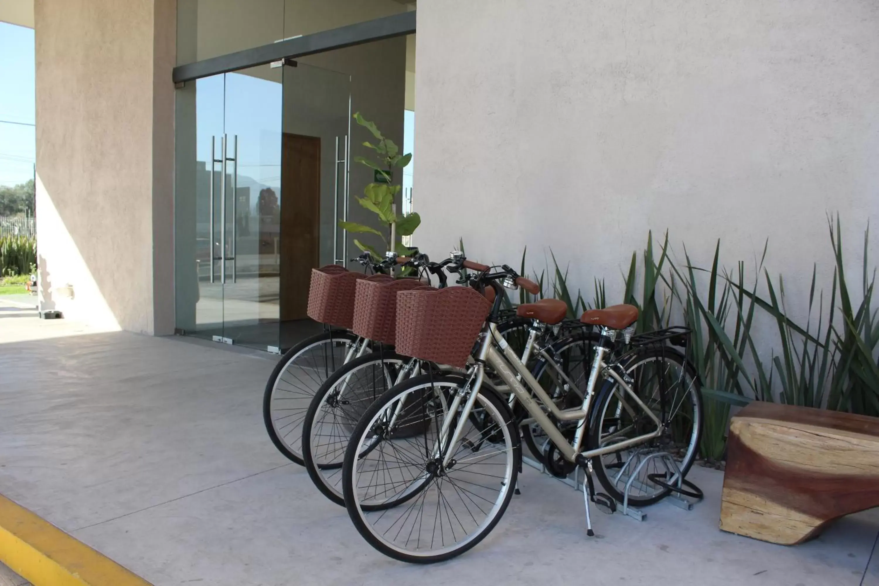 Cycling in Hotel México Plaza Querétaro