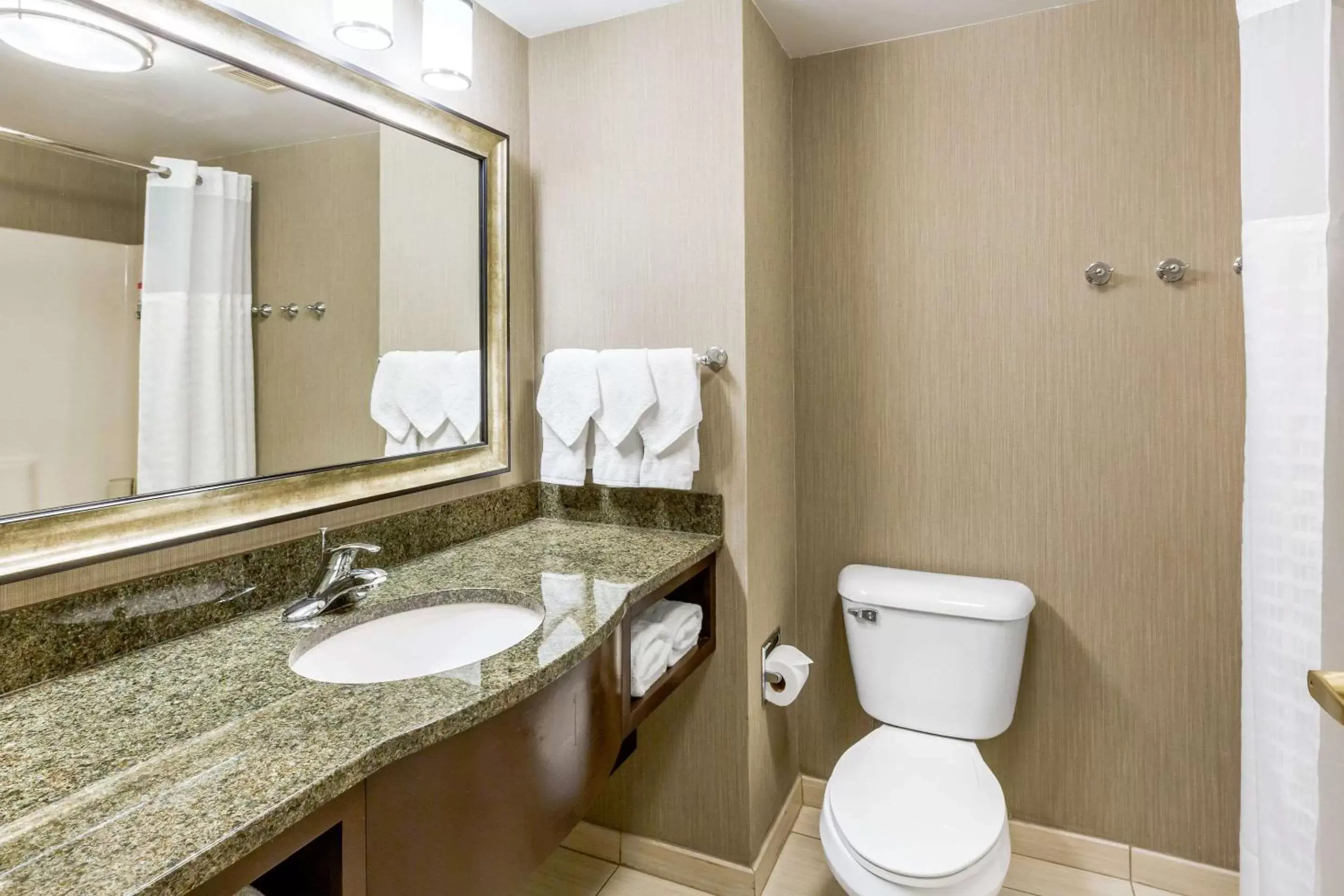 Bathroom in Comfort Inn & Suites Logan International Airport