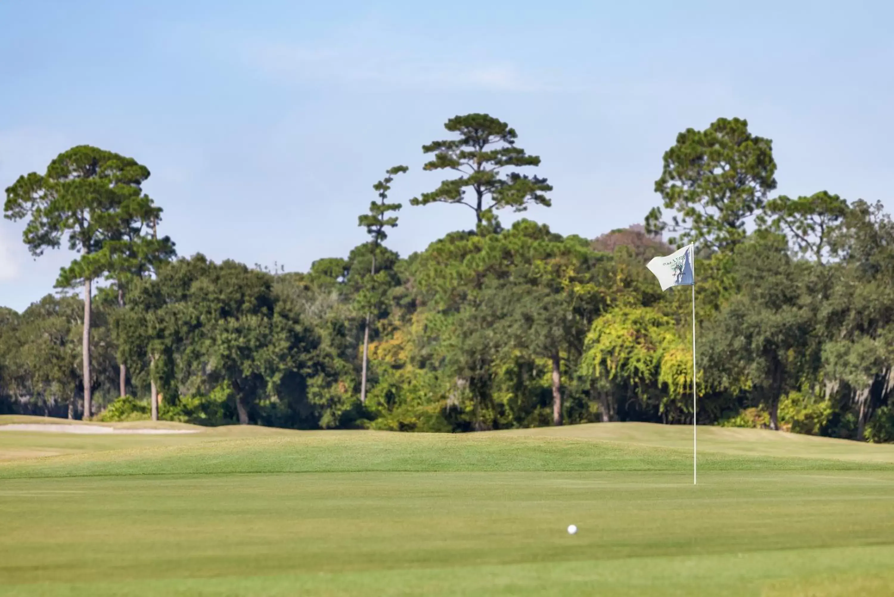 Golfcourse, Golf in Holiday Inn Resort Jekyll Island, an IHG Hotel