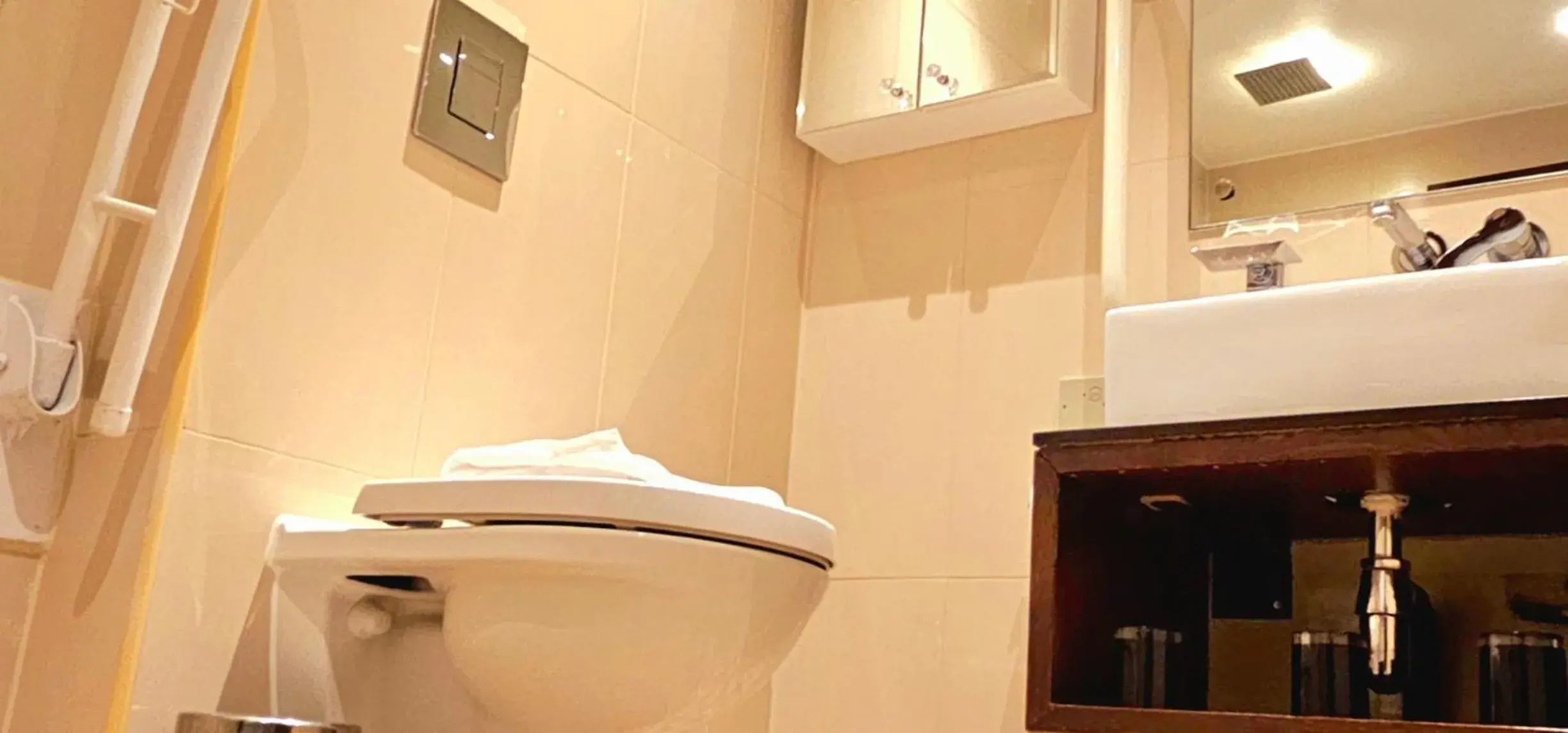 Toilet, Bathroom in Hyde Park International - Member of Park Grand London