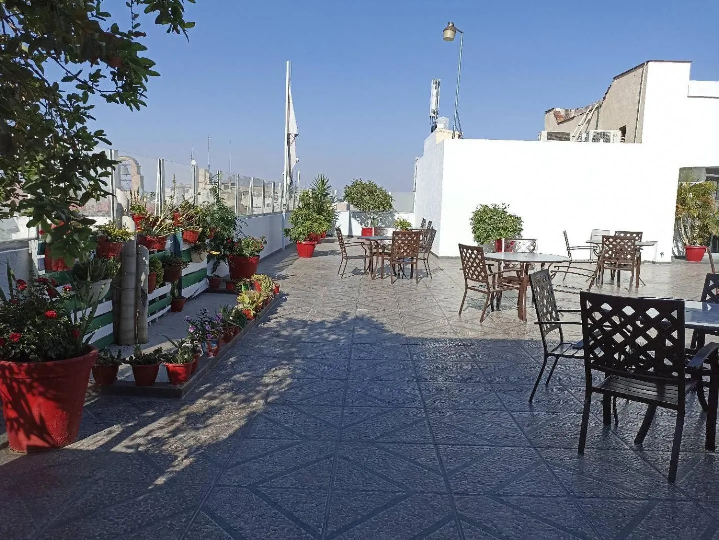 Patio in Roma Guadalajara in downtown