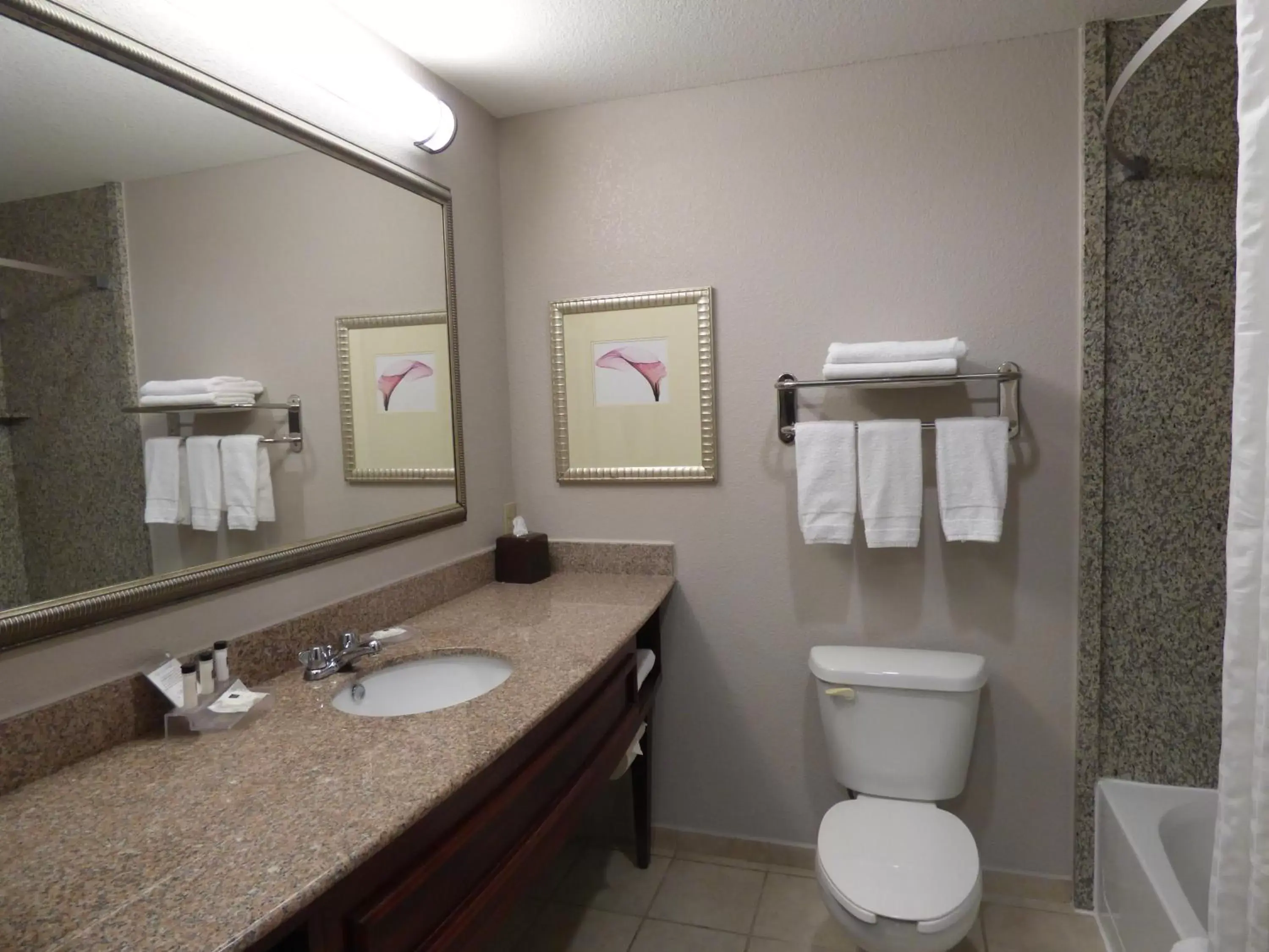 Bathroom in Country Inn & Suites by Radisson, Pensacola West, FL