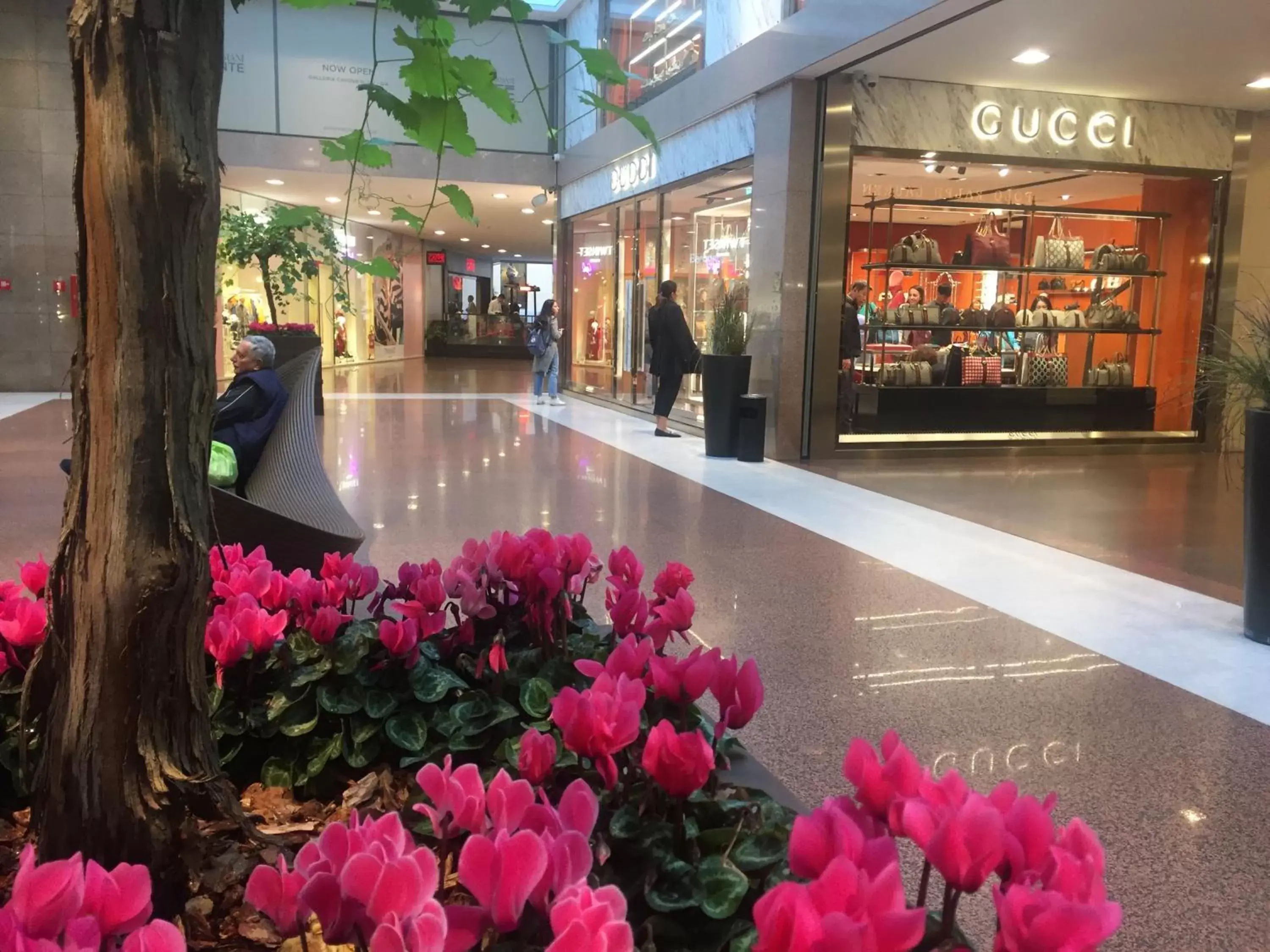 Facade/entrance in B&B Galleria Cavour