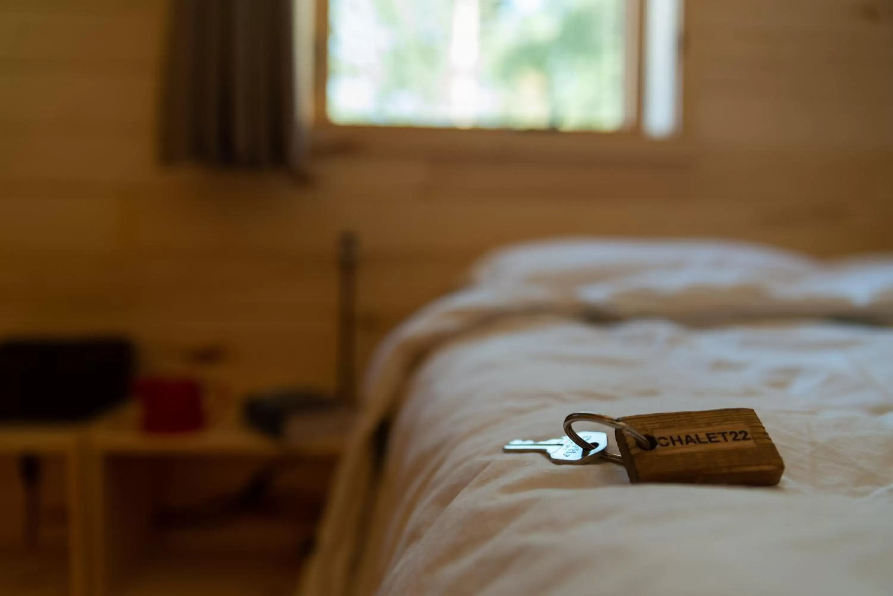 Bed in Hotel de l'Horizon