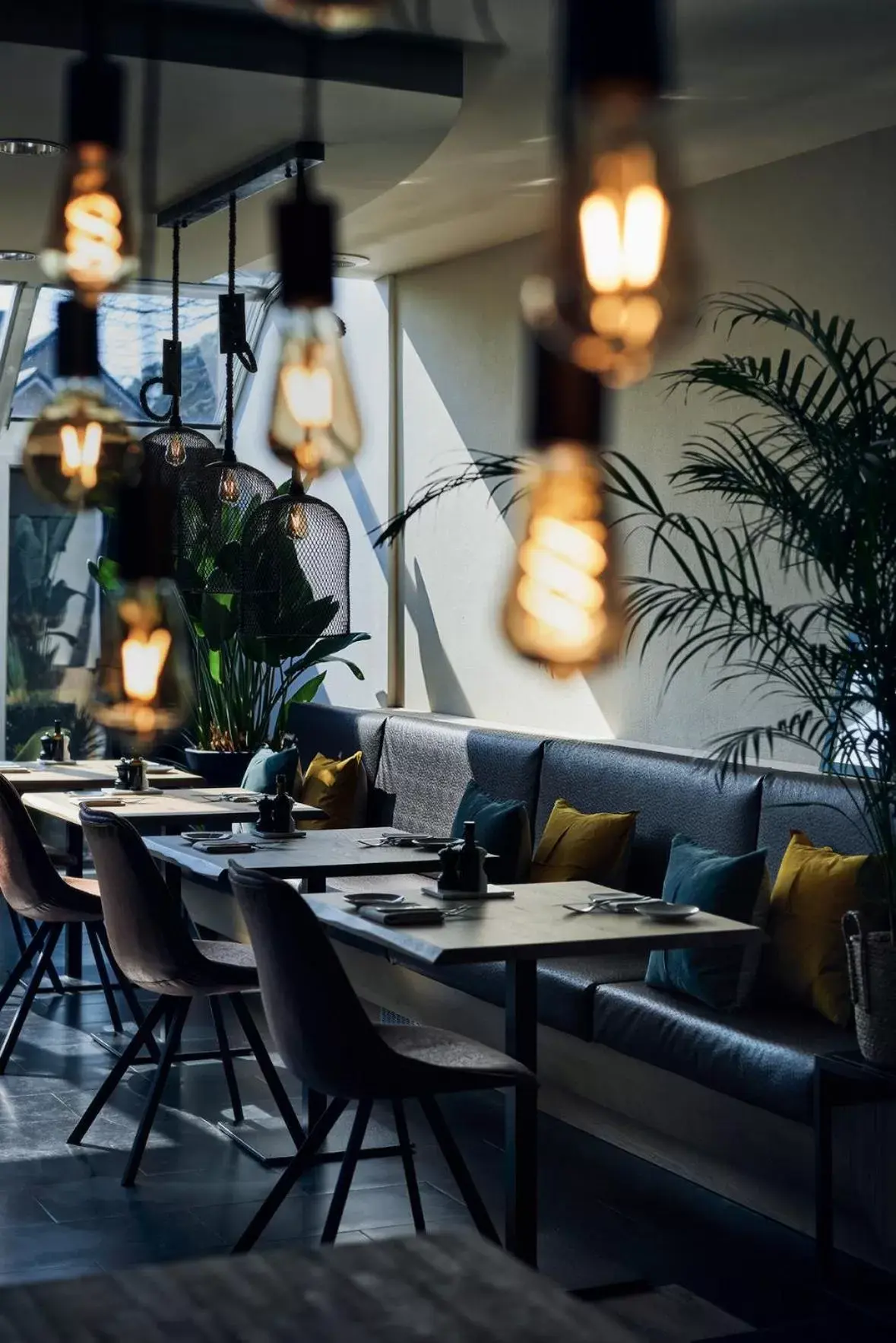 Restaurant/Places to Eat in Hotel Zuid
