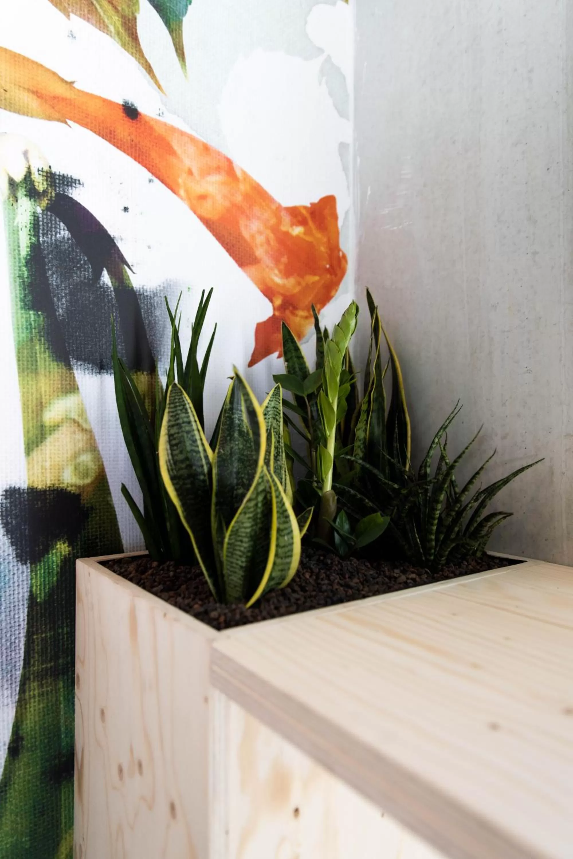 Decorative detail in the urban hotel Moloko - rooms only - unmanned - digital key by email