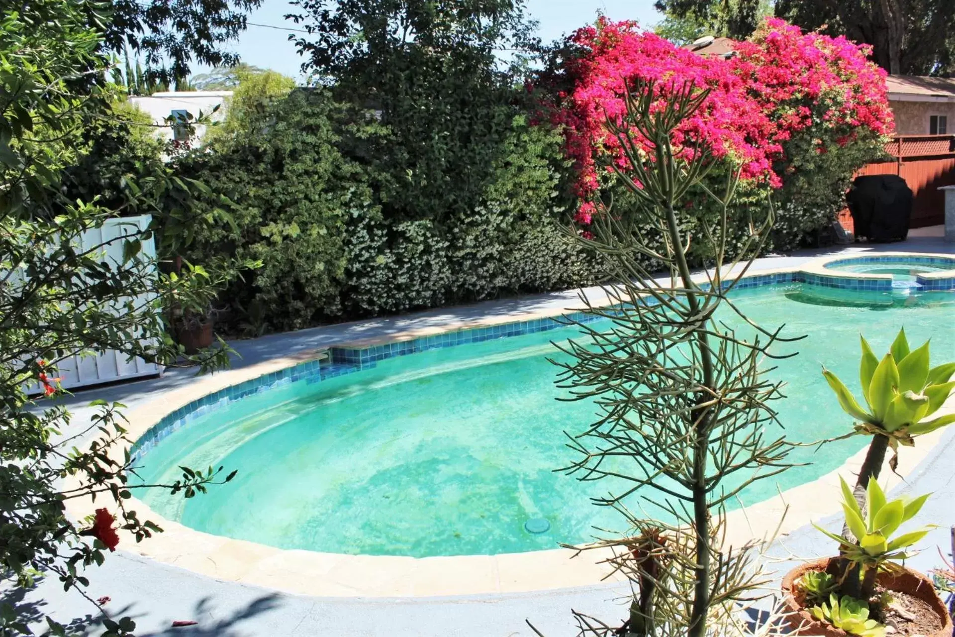 Pool view, Swimming Pool in Sweet Dreams B&B LA