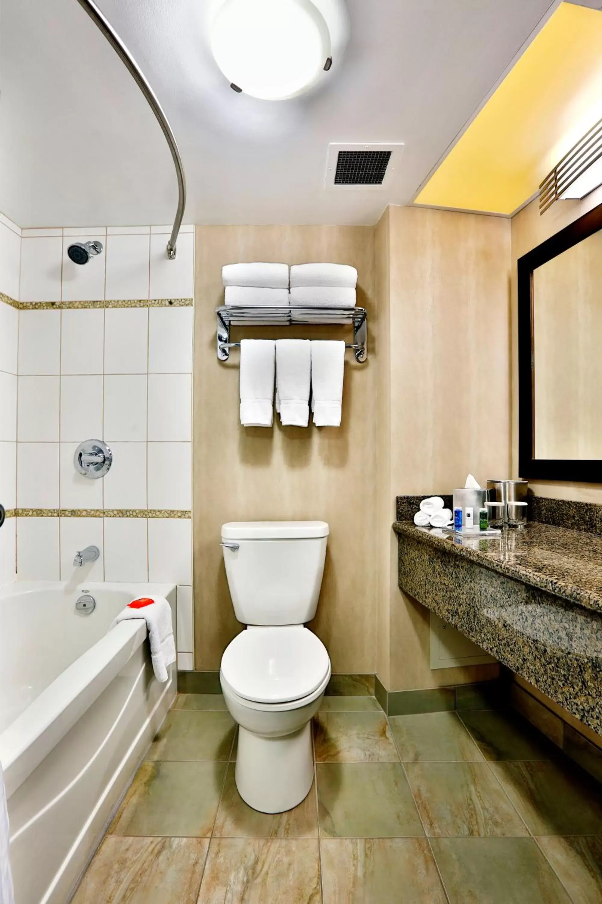 Toilet, Bathroom in Radisson Hotel Winnipeg Downtown
