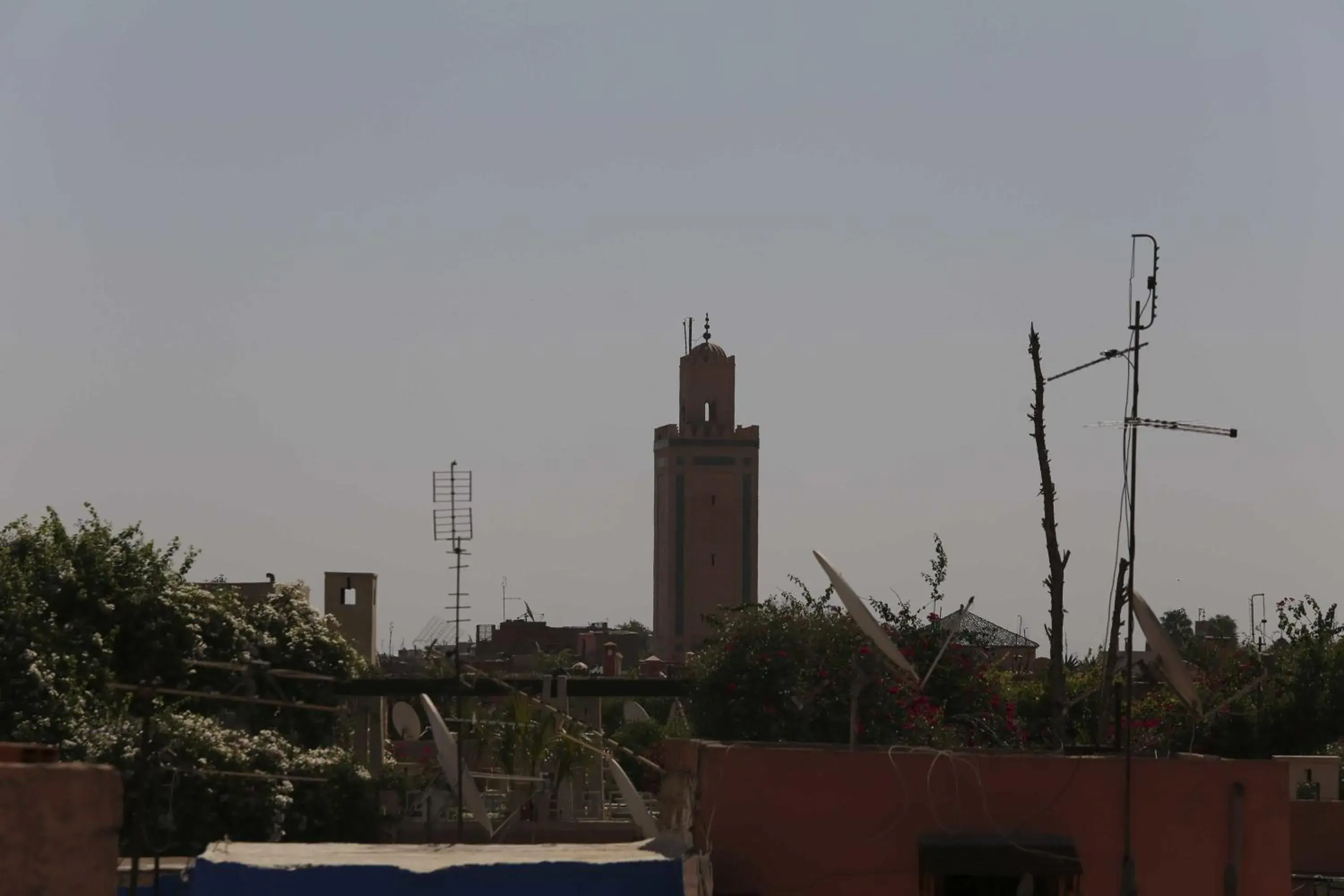 View (from property/room) in Riad Mille Et Une Nuits