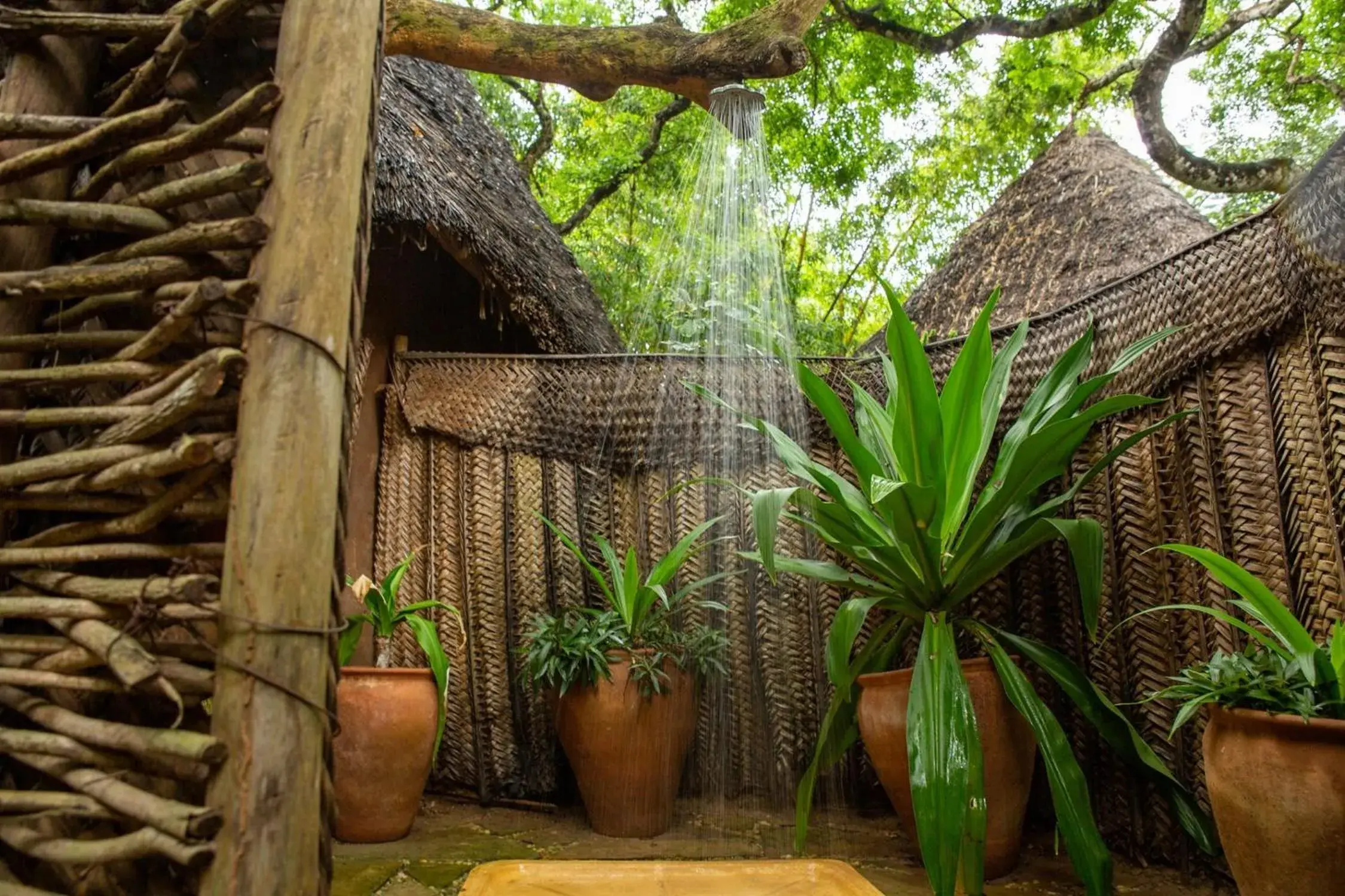 Shower in Distant Relatives Ecolodge & Backpackers