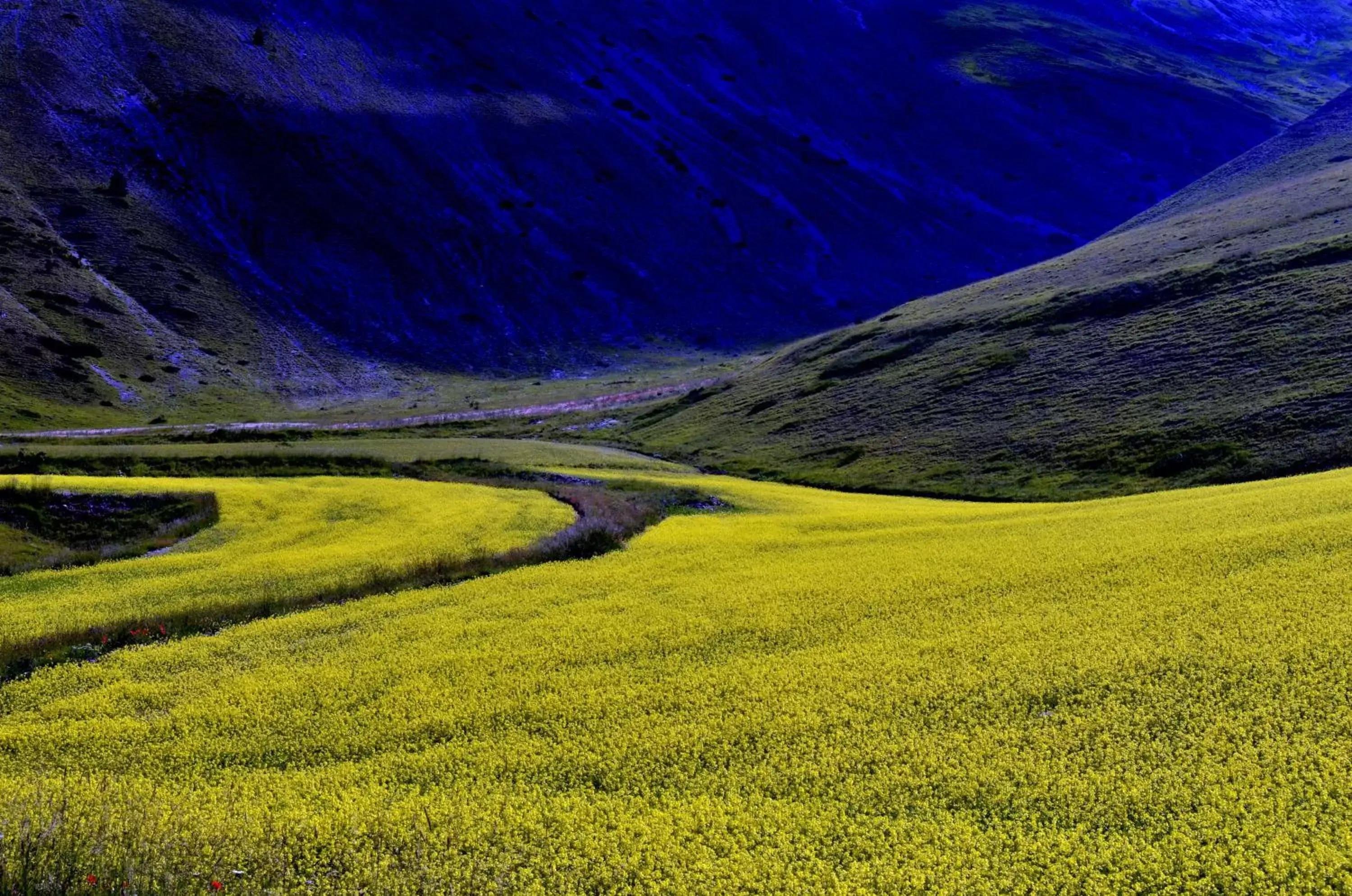 Natural Landscape in Hotel Clarici