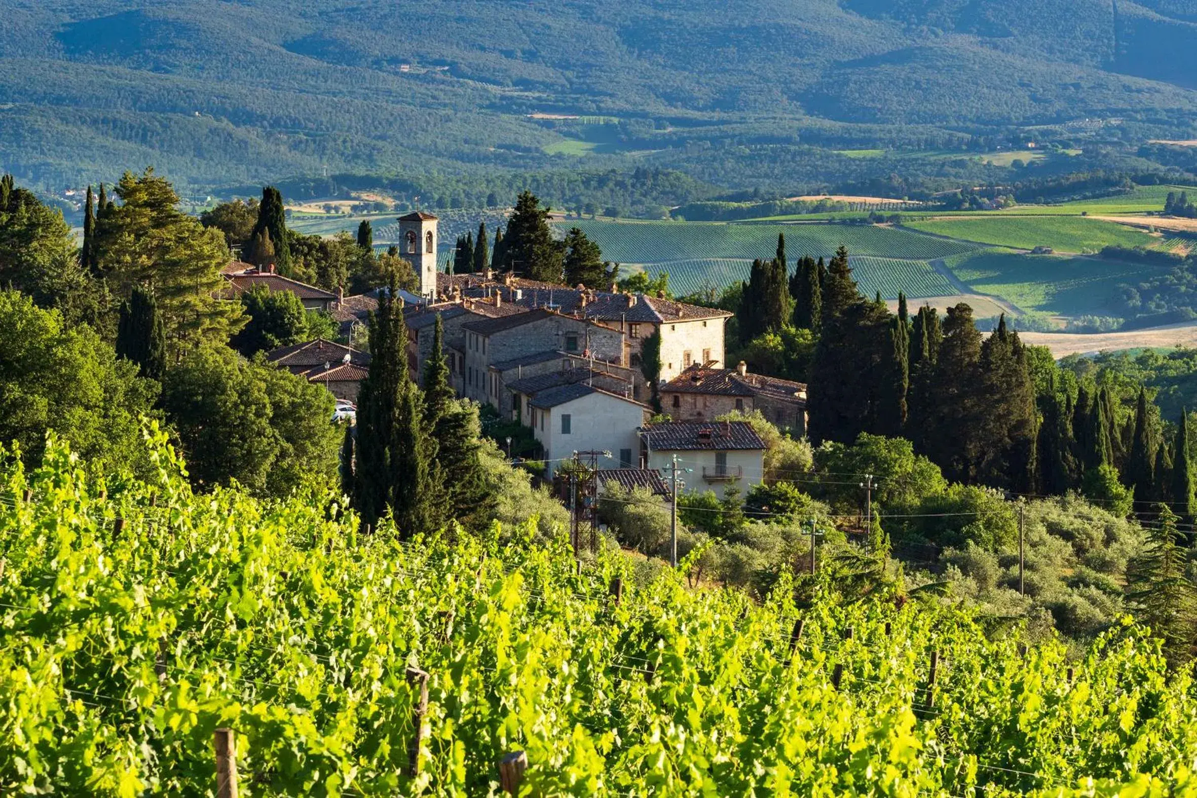 Bird's eye view, Bird's-eye View in Castello di Fonterutoli Wine Resort