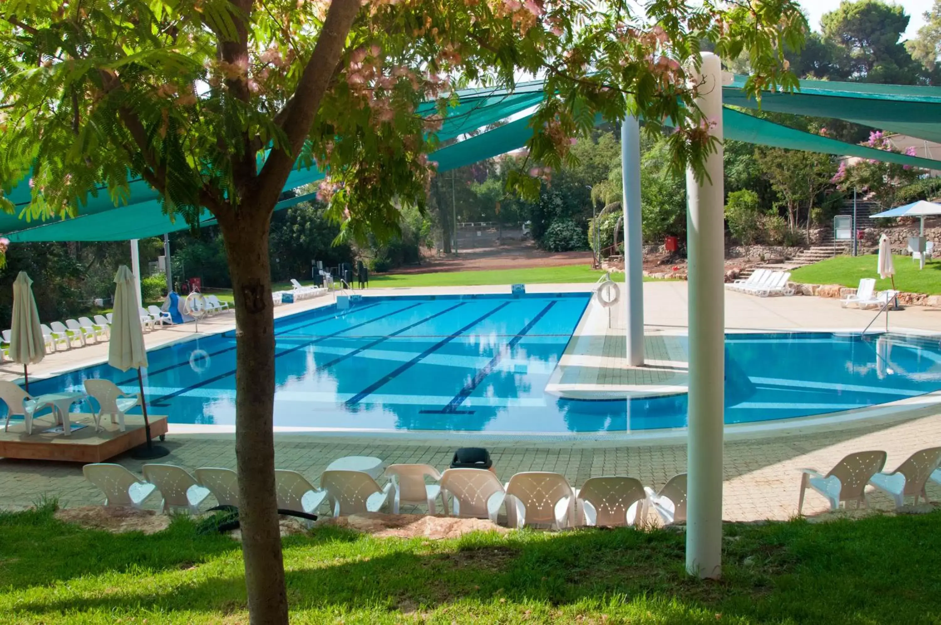 Swimming Pool in Giladi Hotel