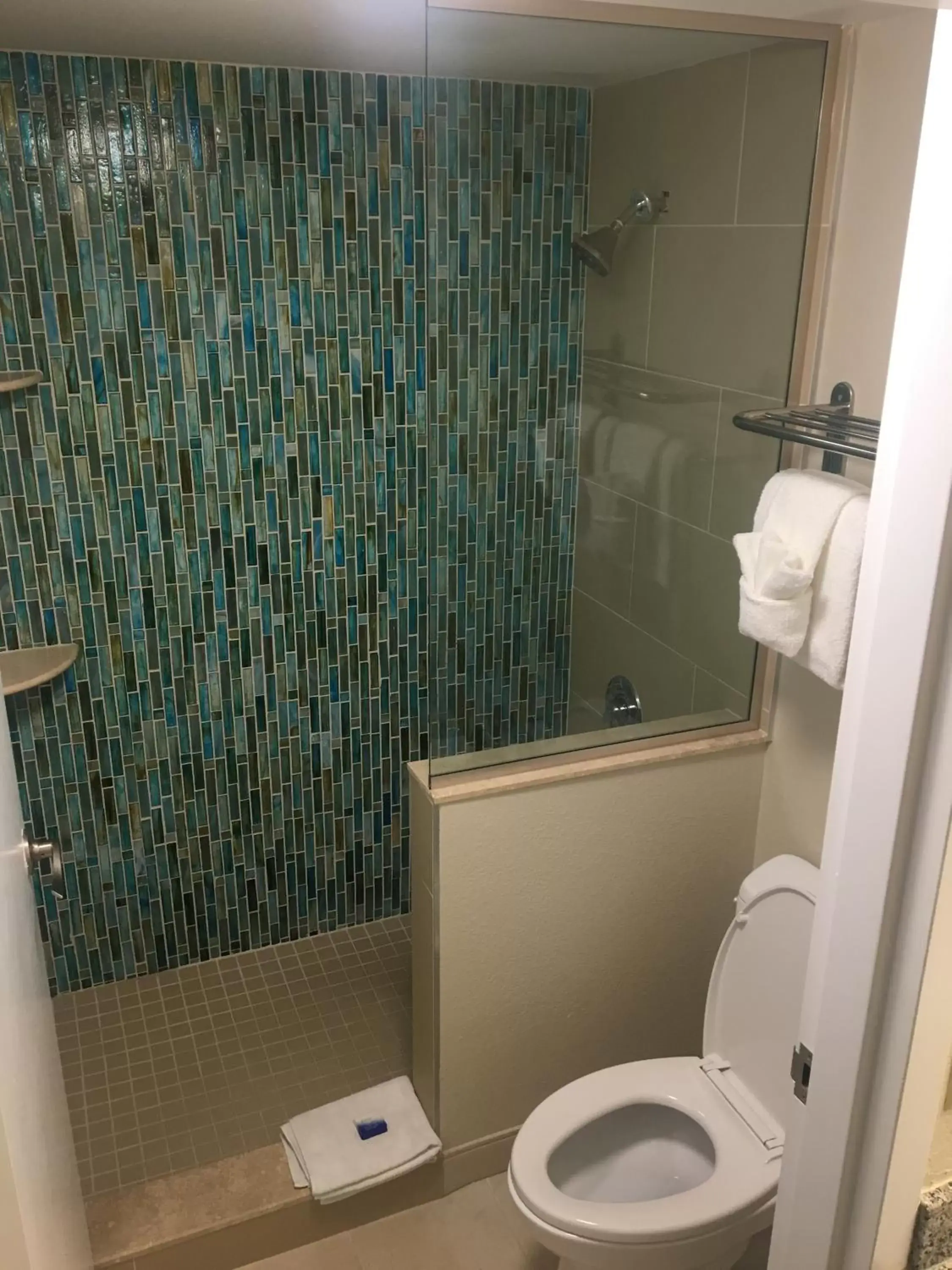 Bathroom in Best Western Plus Siesta Key Gateway