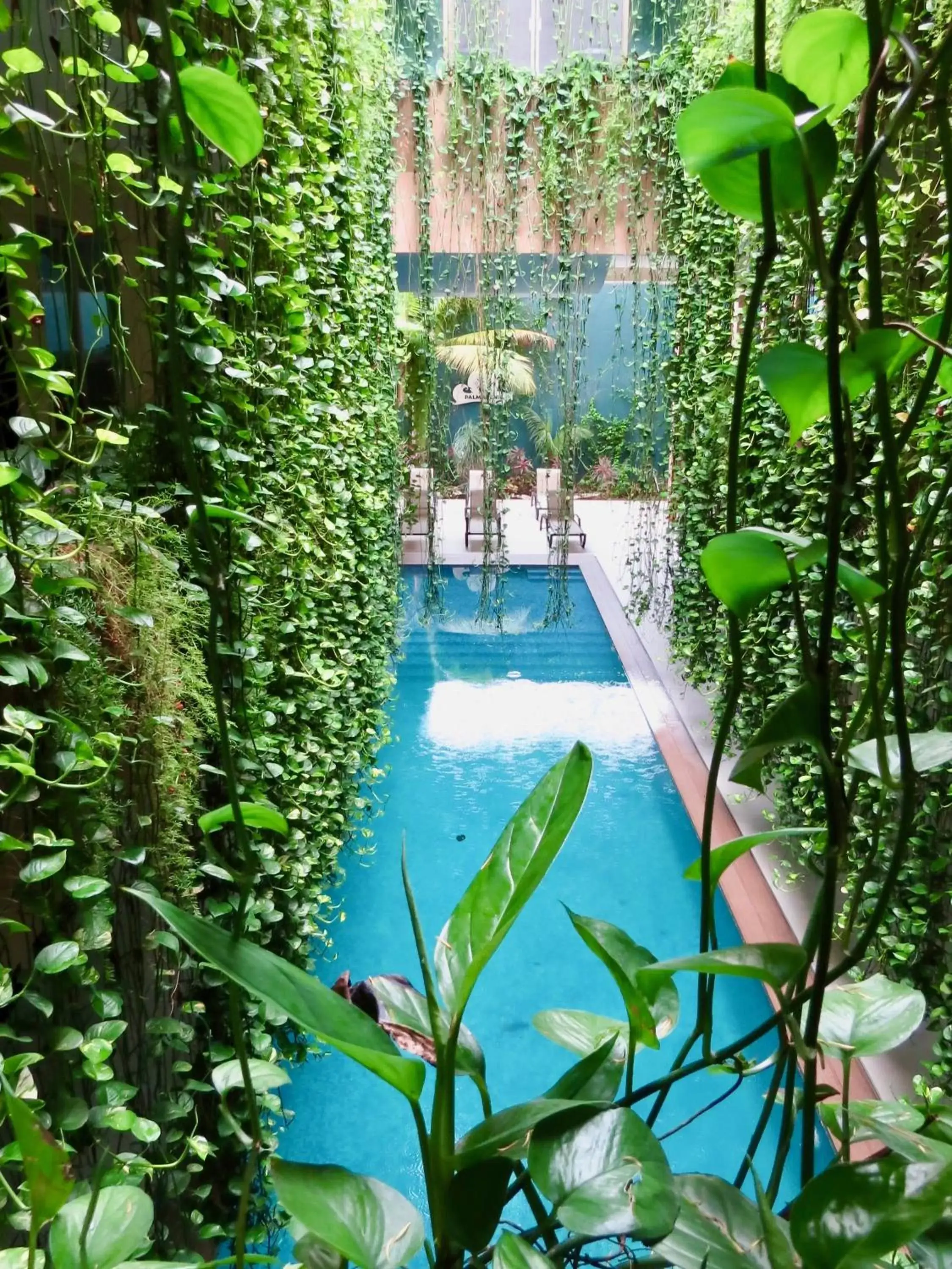 Pool view, Swimming Pool in PALMARENA by Nah Hotels