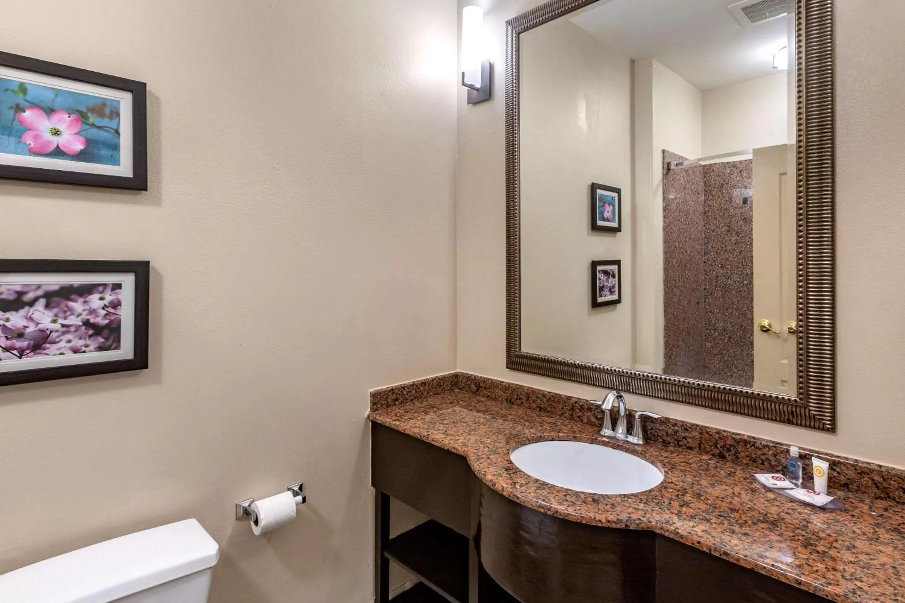 Bathroom in Comfort Inn & Suites Villa Rica