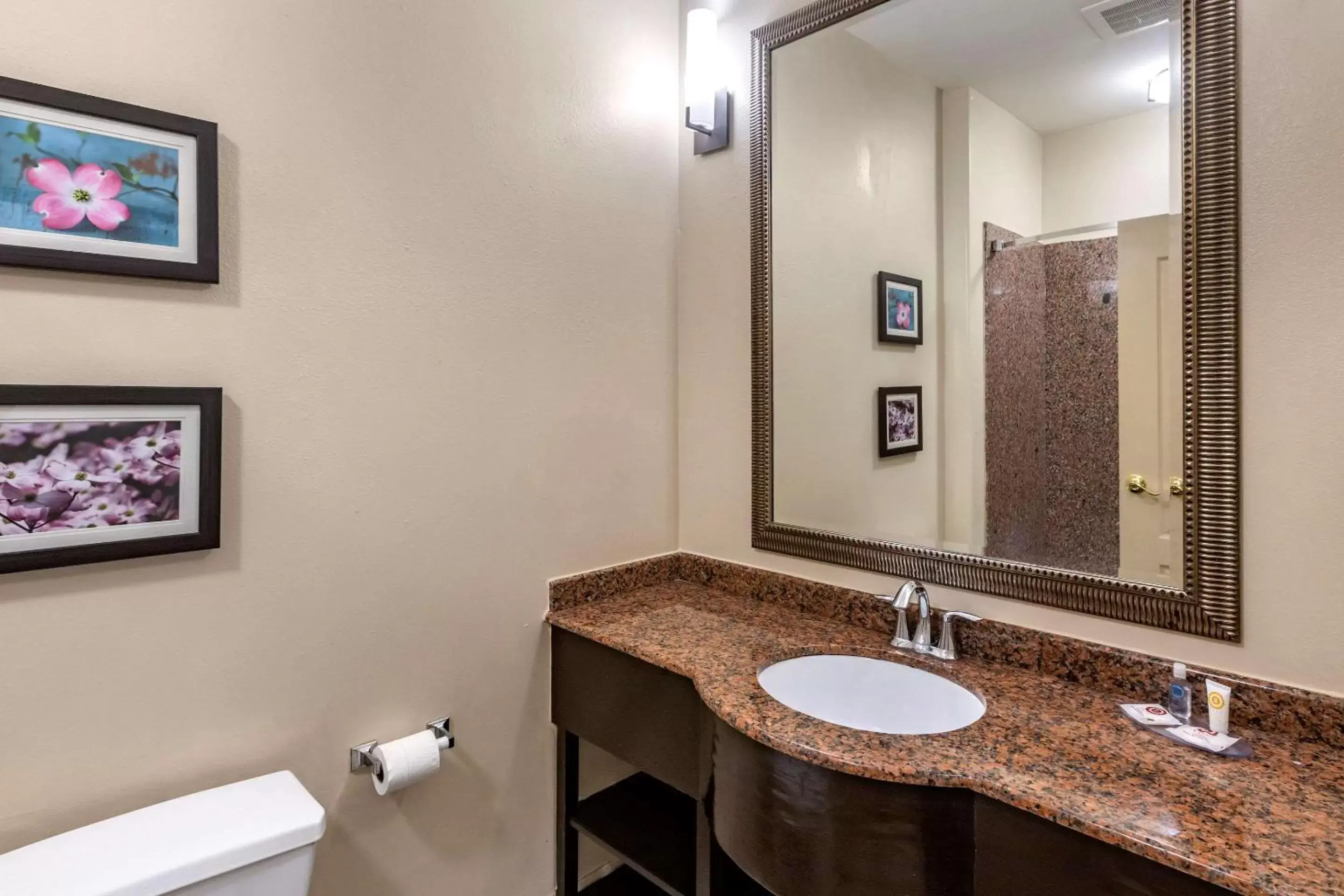 Photo of the whole room, Bathroom in Comfort Inn & Suites Villa Rica