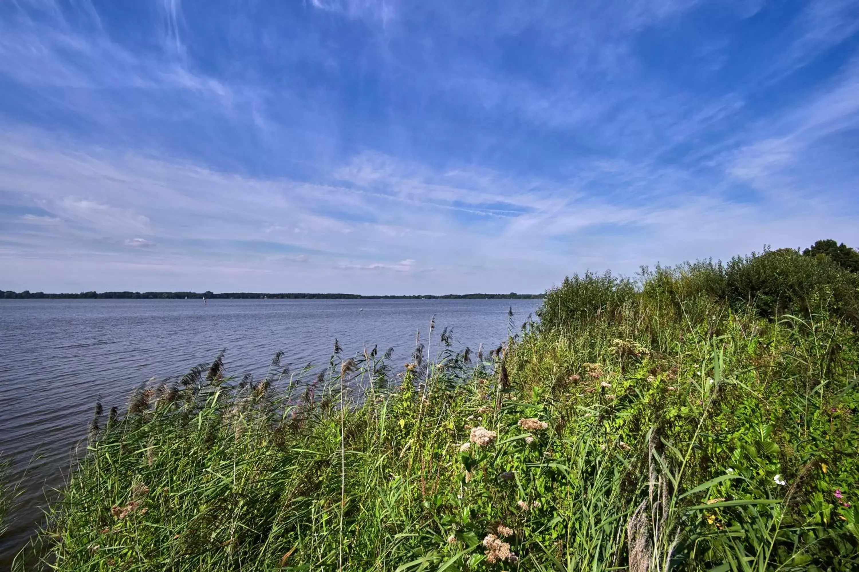 Natural landscape in Romantik Hotel Jagdhaus Eiden am See