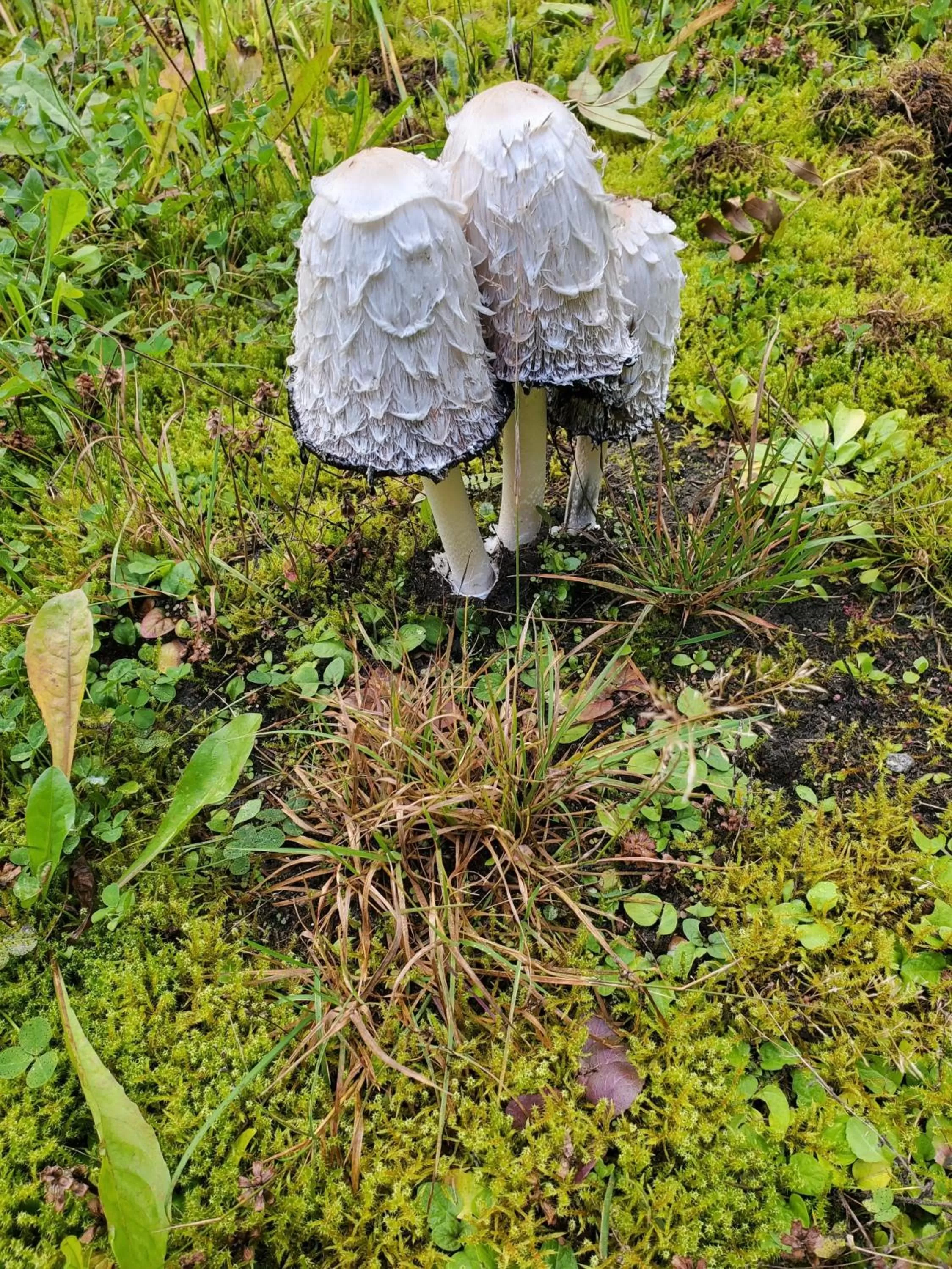 Autumn in Hotel Bielatal