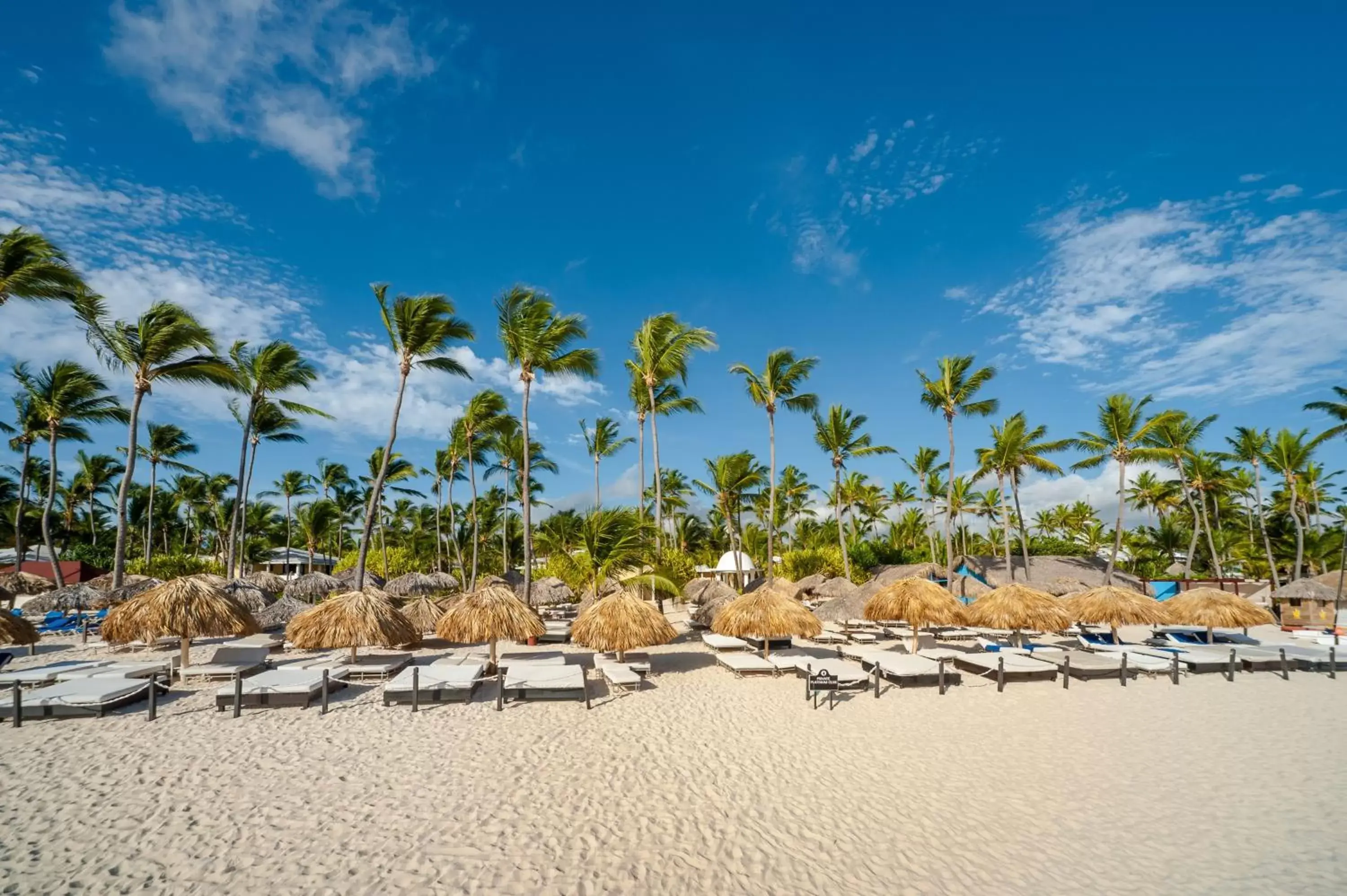 Beach in Grand Bavaro Princess - All Inclusive