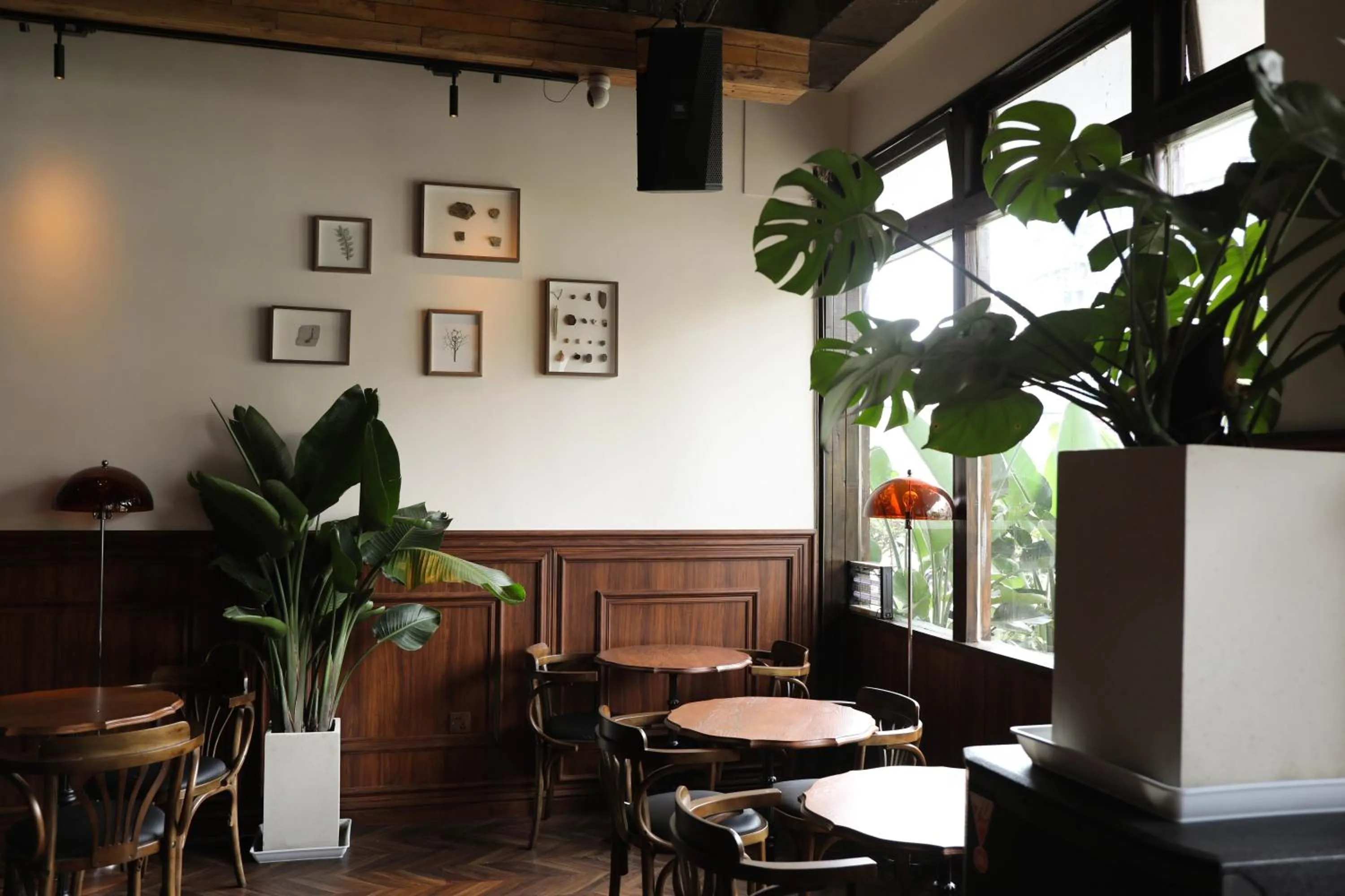 Lounge or bar in SONDERIA Lazybones Hostel- Wenshu Temple Side, Chill Hostel with All-Day Brunch, Travel Agency in English & Local Bar Vibes