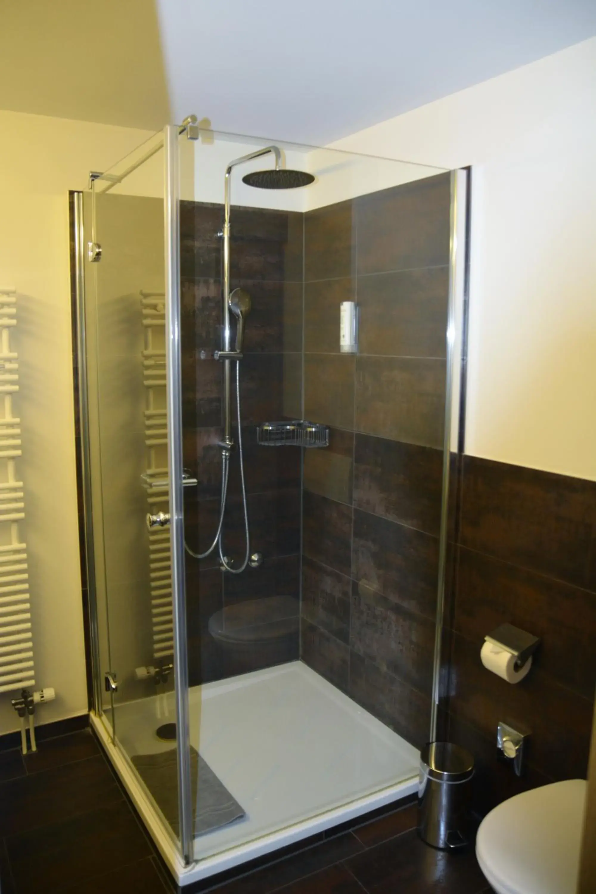 Shower, Bathroom in Parkhotel Langenthal