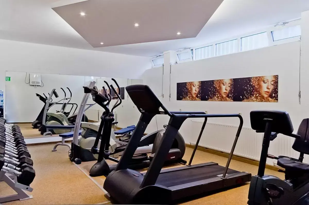 Fitness centre/facilities, Fitness Center/Facilities in Arthotel ANA Gold