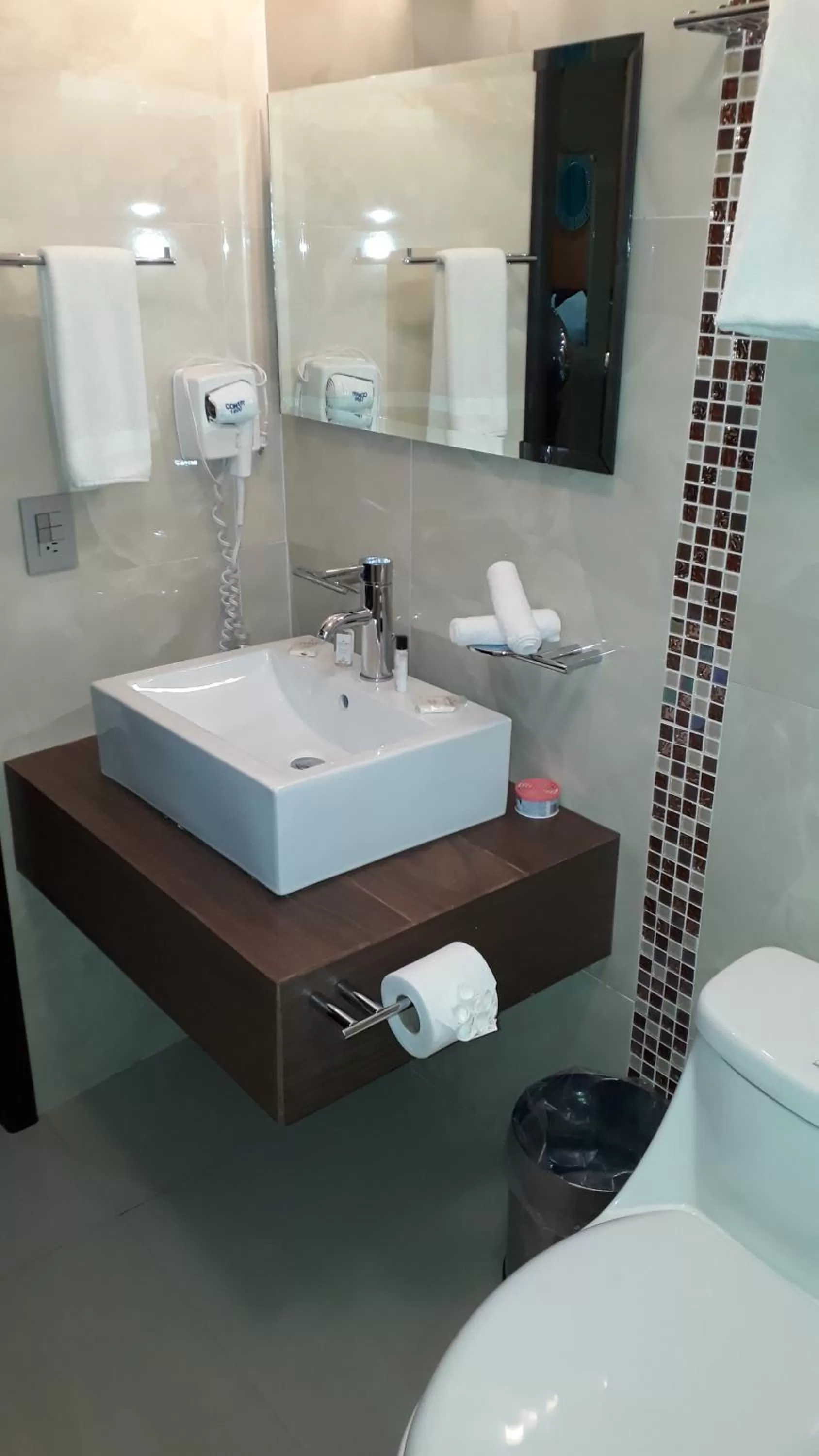 Toilet in Luxury Hotel Inn