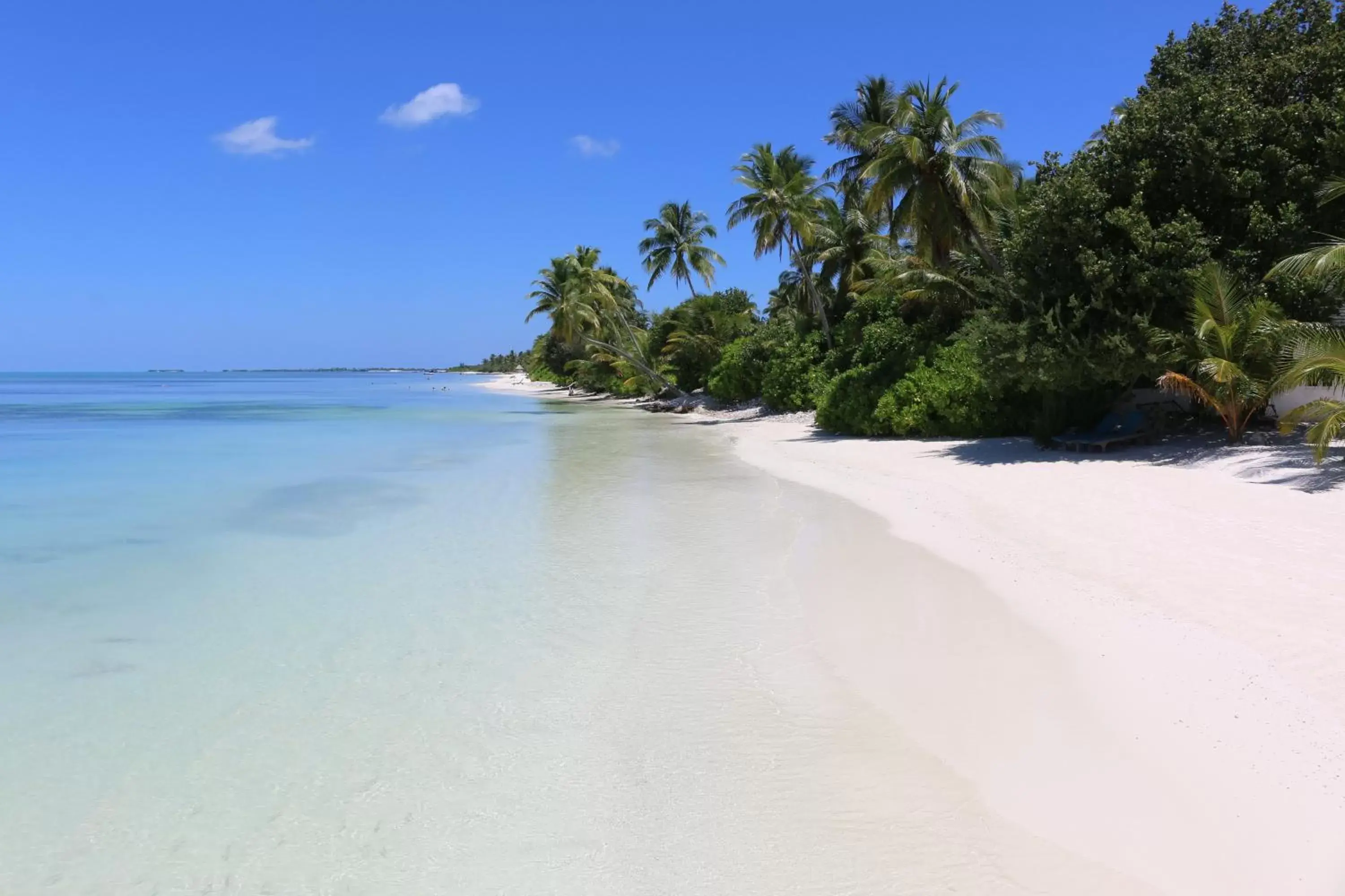 Beach in Canareef Resort Maldives