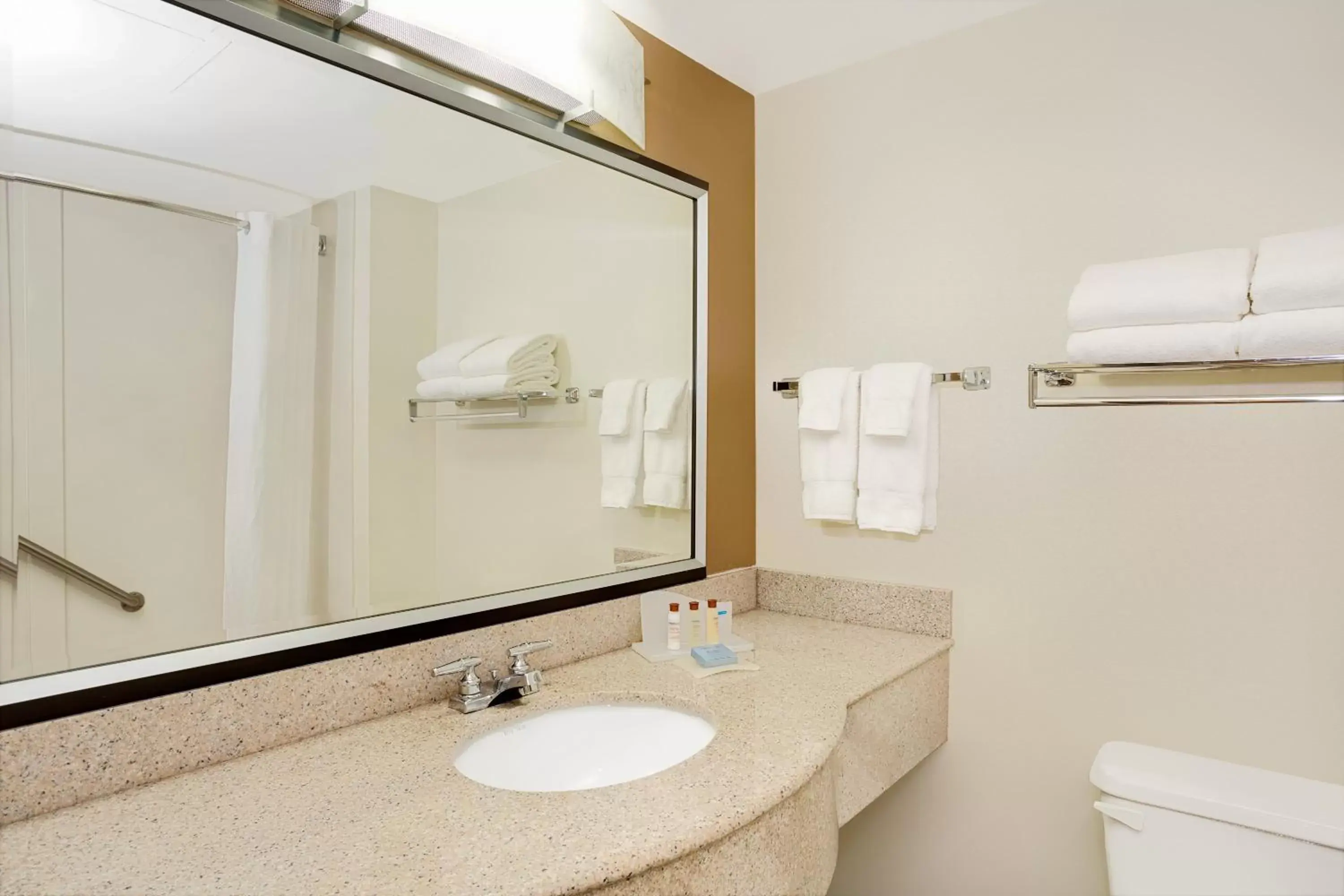 Bathroom in Wingate by Wyndham Raleigh Durham / Airport