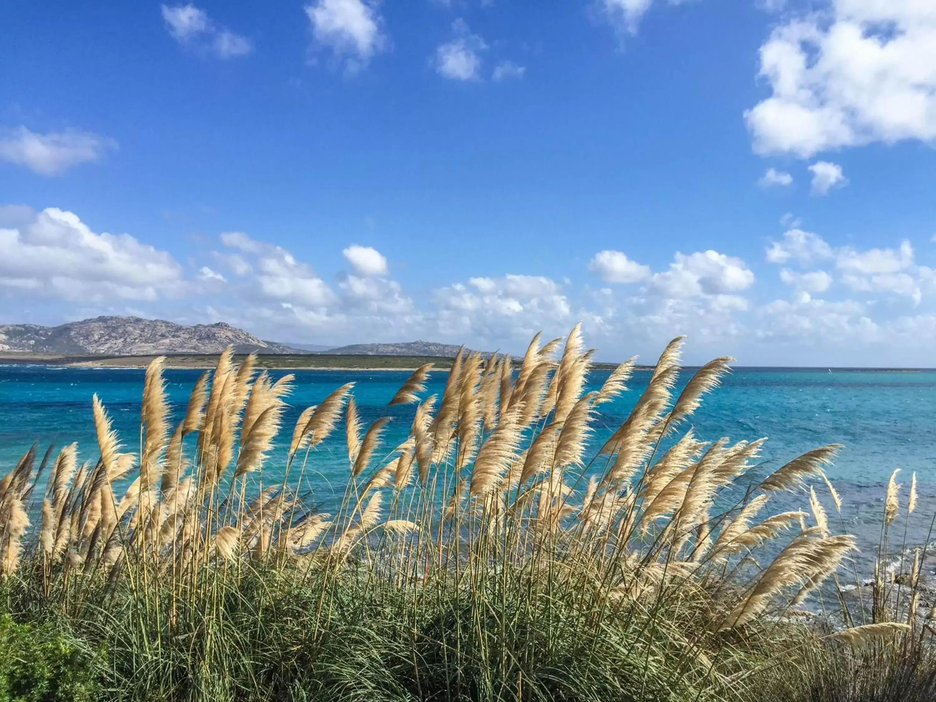 Beach, Natural Landscape in Angioy 18