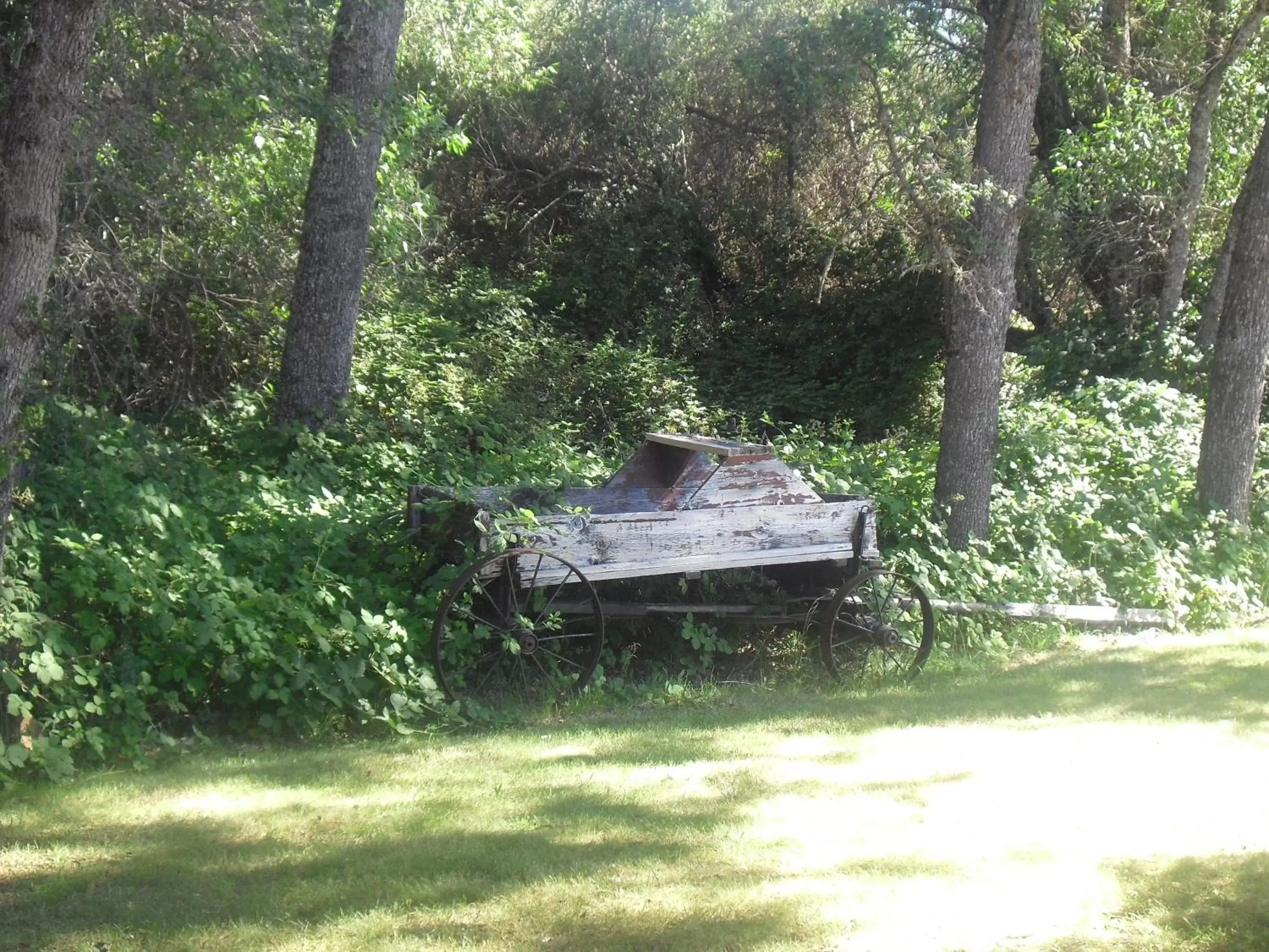 Garden in Creekside Lodge