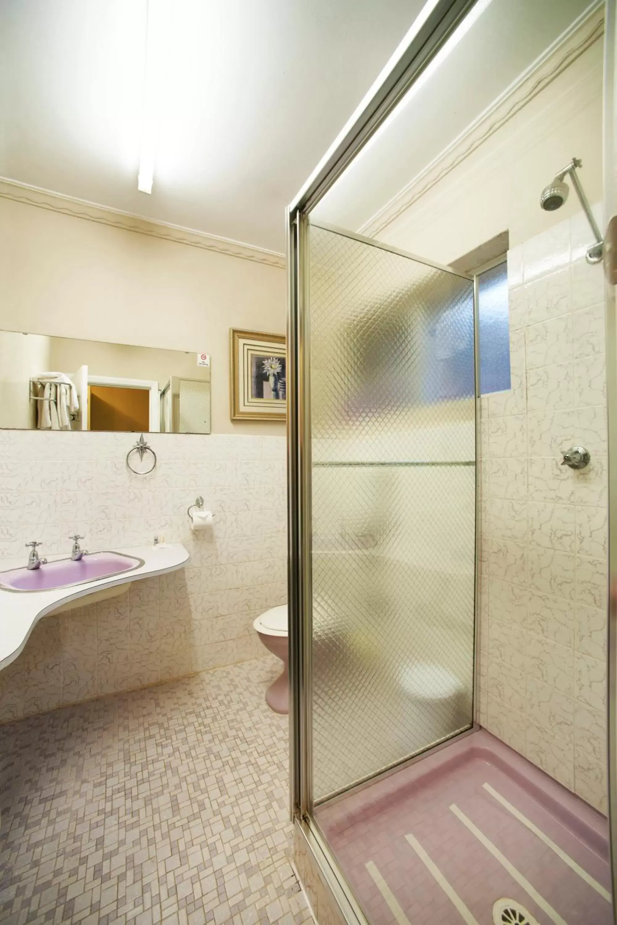Shower, Bathroom in Burnie Airport Motel