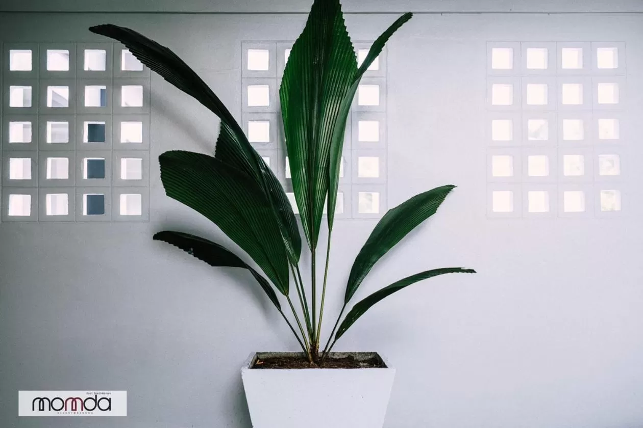 Momda Resort @Ranong